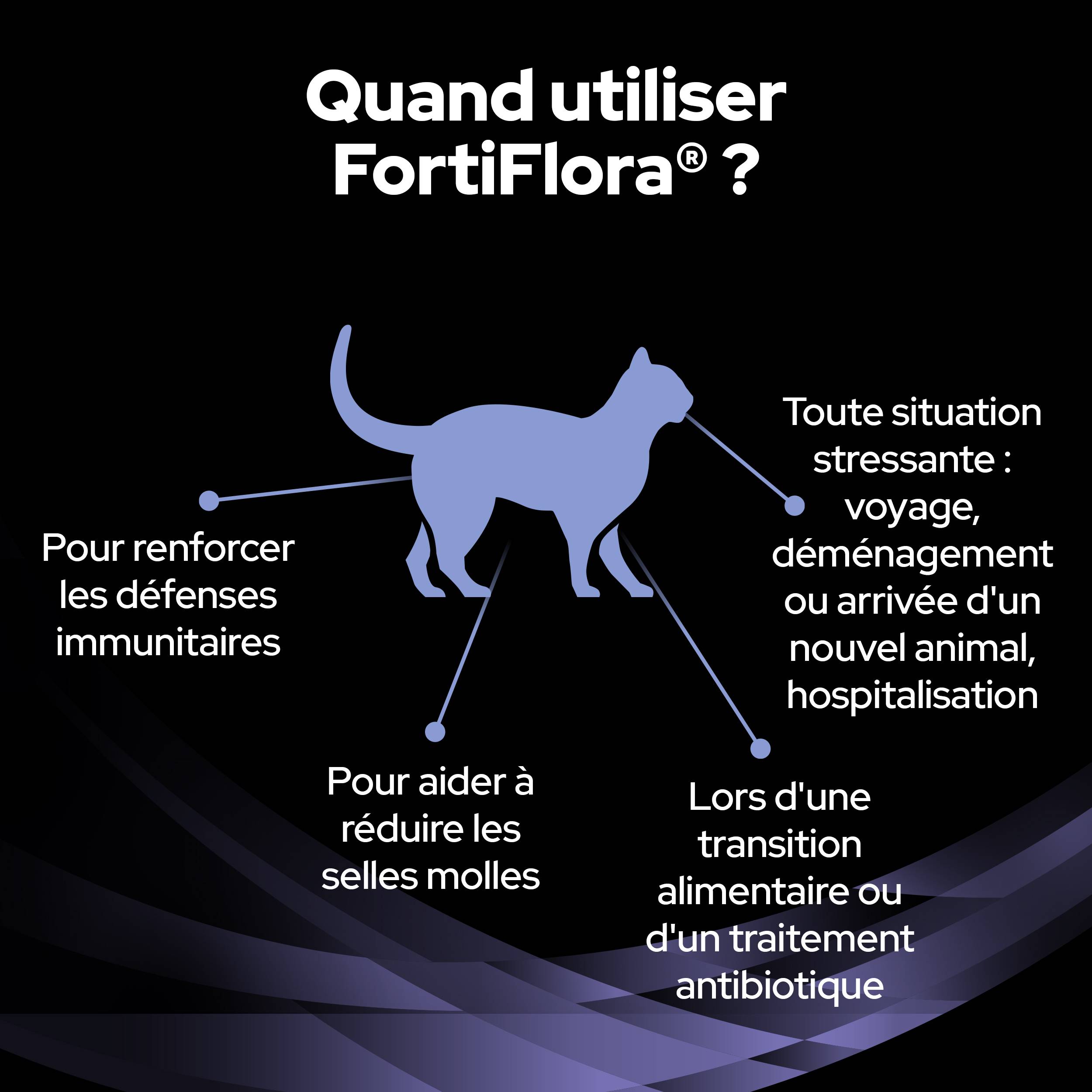 Purina Pro Plan - Un supplément probiotique diététique pour les chatons et les chats adultes - PRO PLAN - Image 10