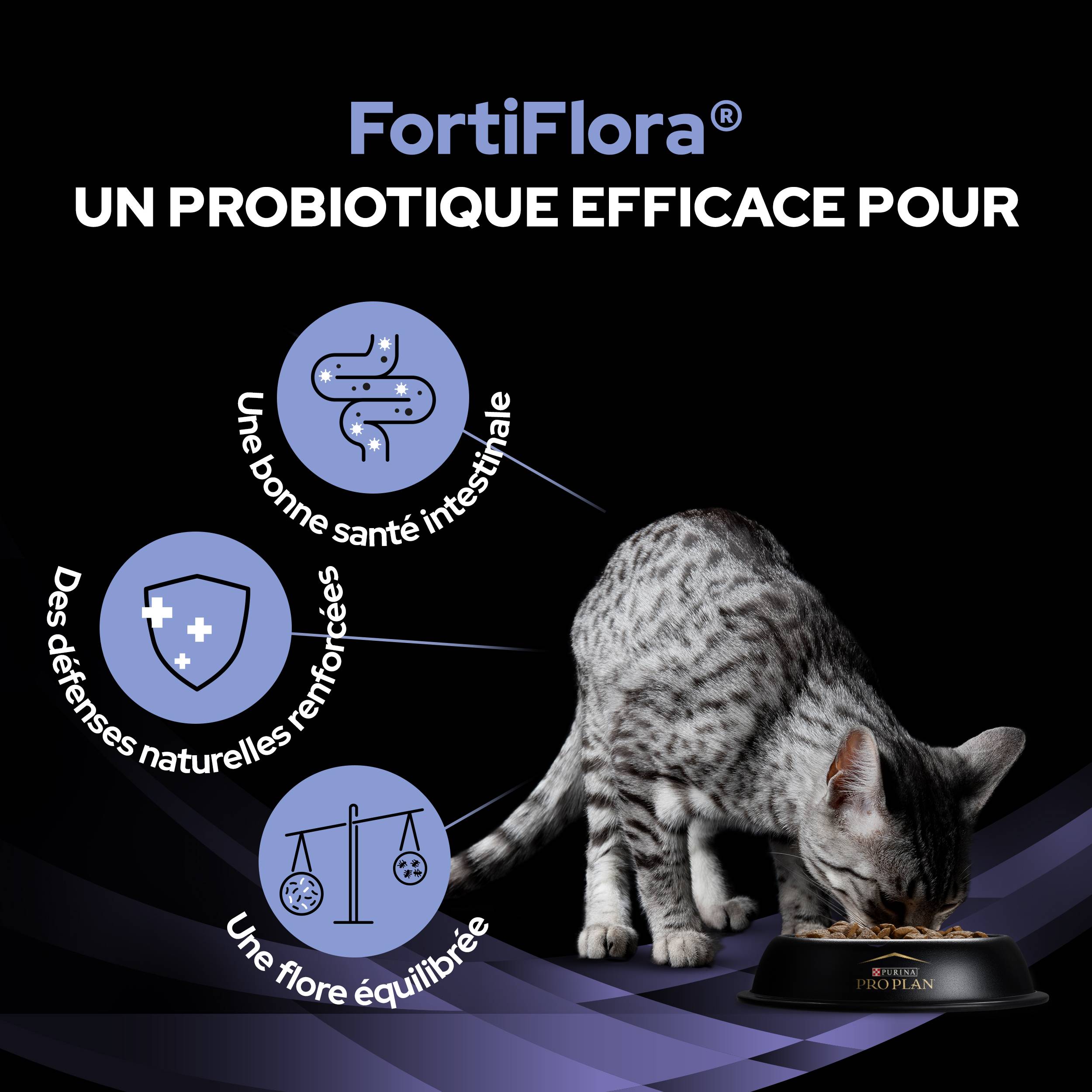 Purina Pro Plan - Un supplément probiotique diététique pour les chatons et les chats adultes - PRO PLAN - Image 9