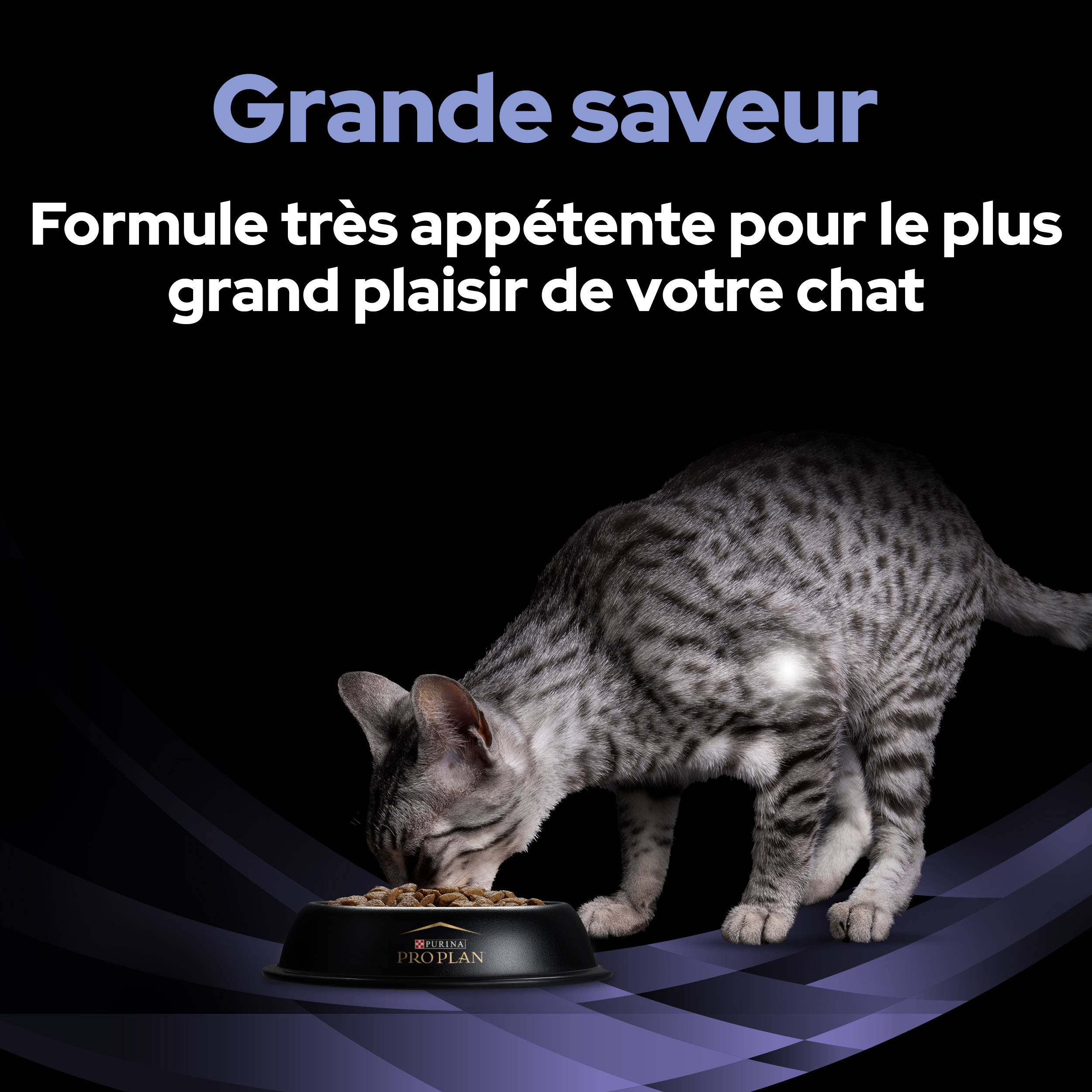 Purina Pro Plan - Un supplément probiotique diététique pour les chatons et les chats adultes - PRO PLAN - Image 2