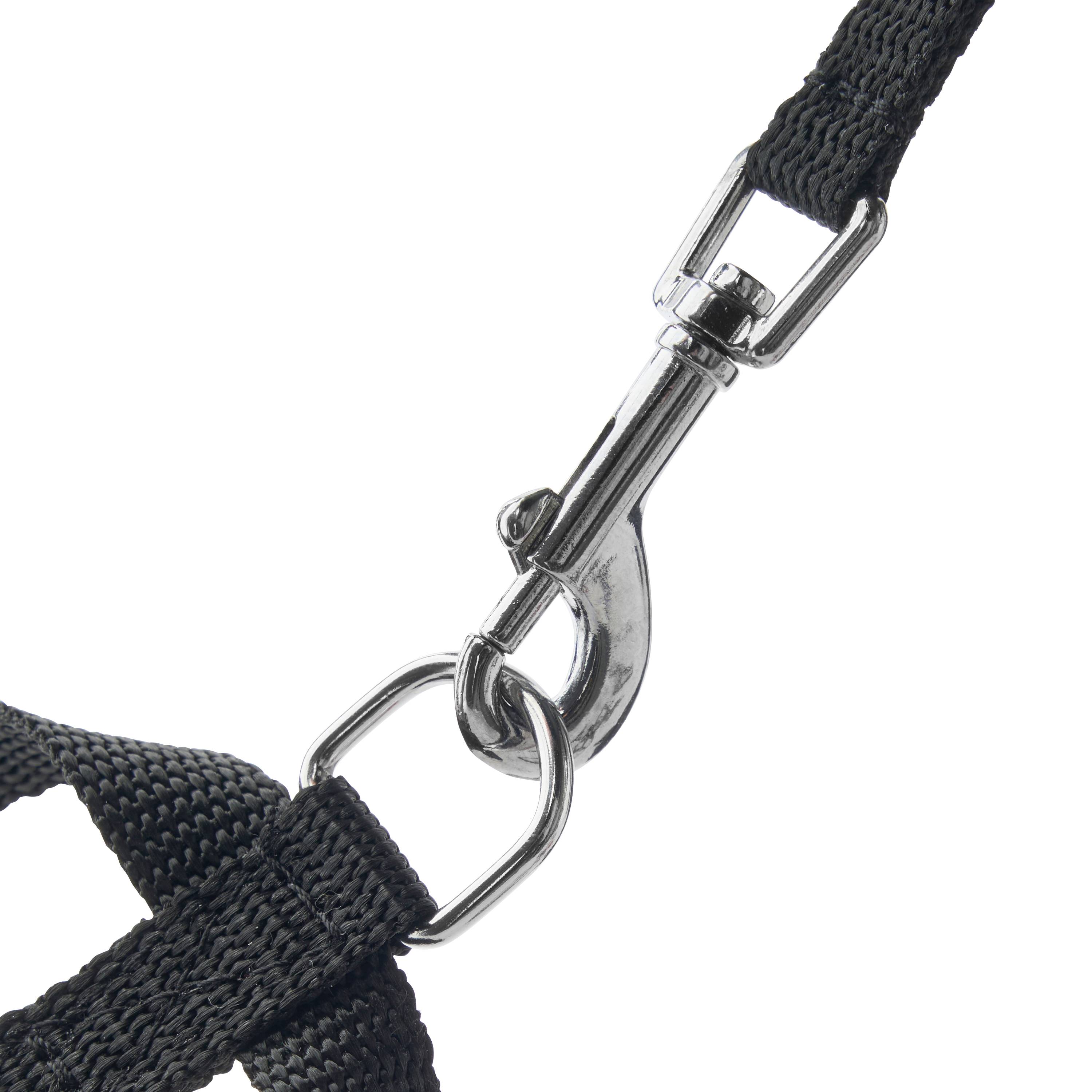 Marque Economique - Harnais en nylon noir pour chien – Taille M 15 mm - Image 4