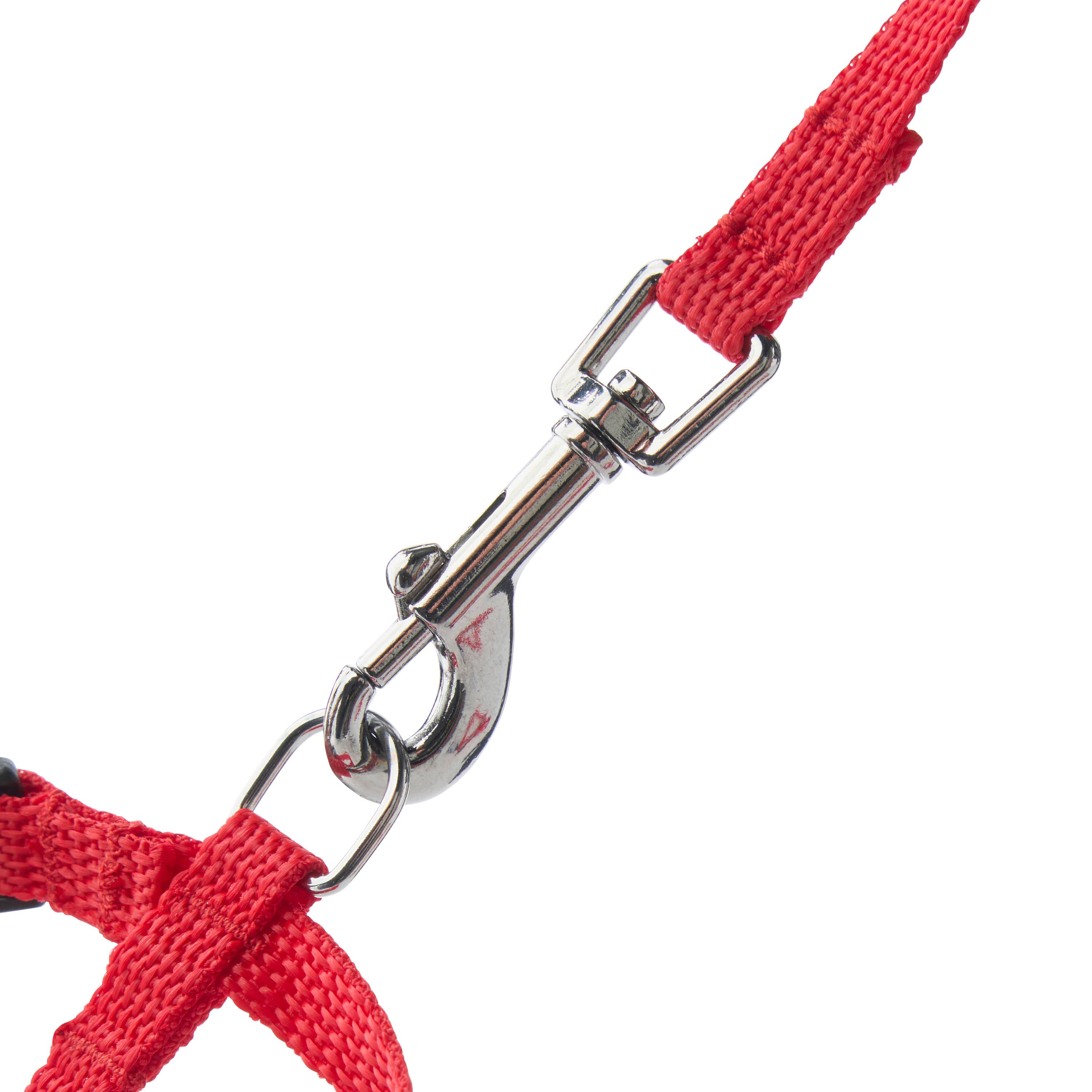 No name - zolux - Harnais en nylon rouge pour chien – Taille S 10 mm - Image 3
