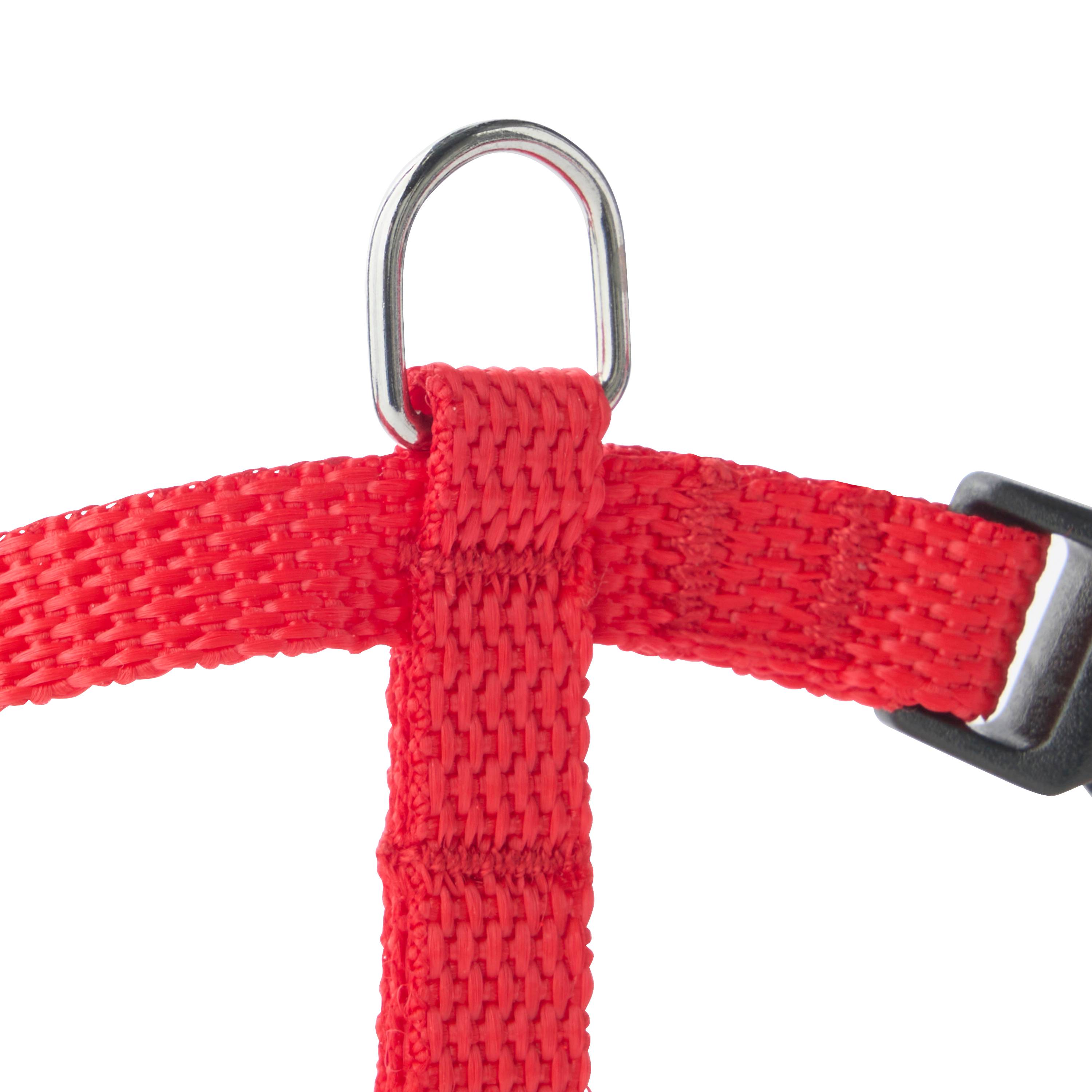 No name - zolux - Harnais en nylon rouge pour chien – Taille S 10 mm - Image 2