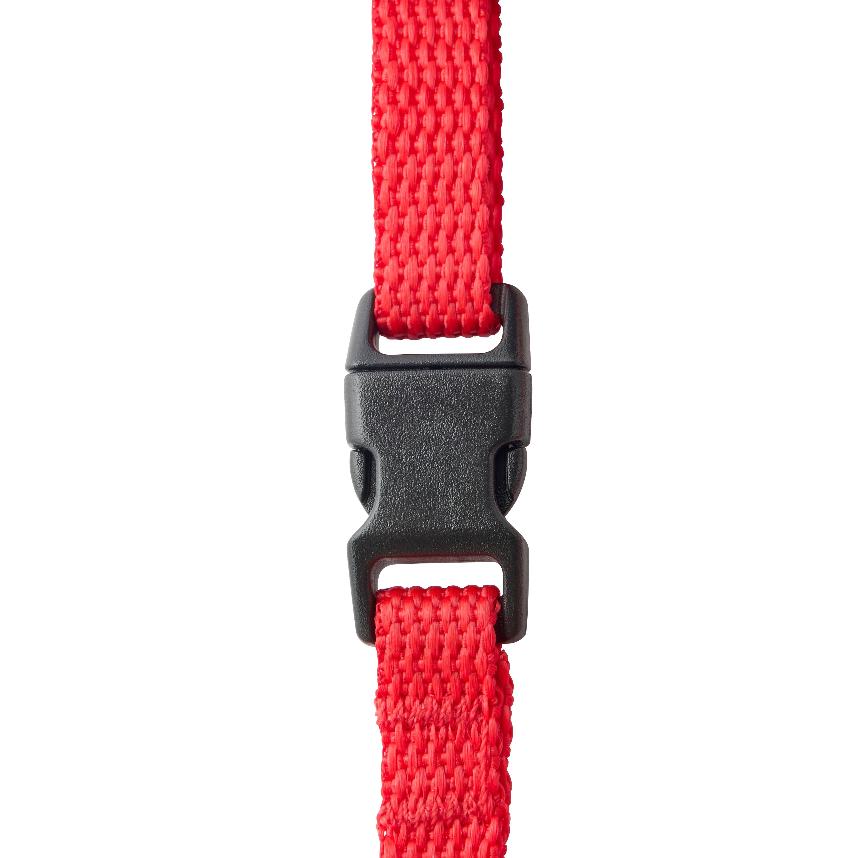 No name - zolux - Harnais en nylon rouge pour chien – Taille S 10 mm - Image 4
