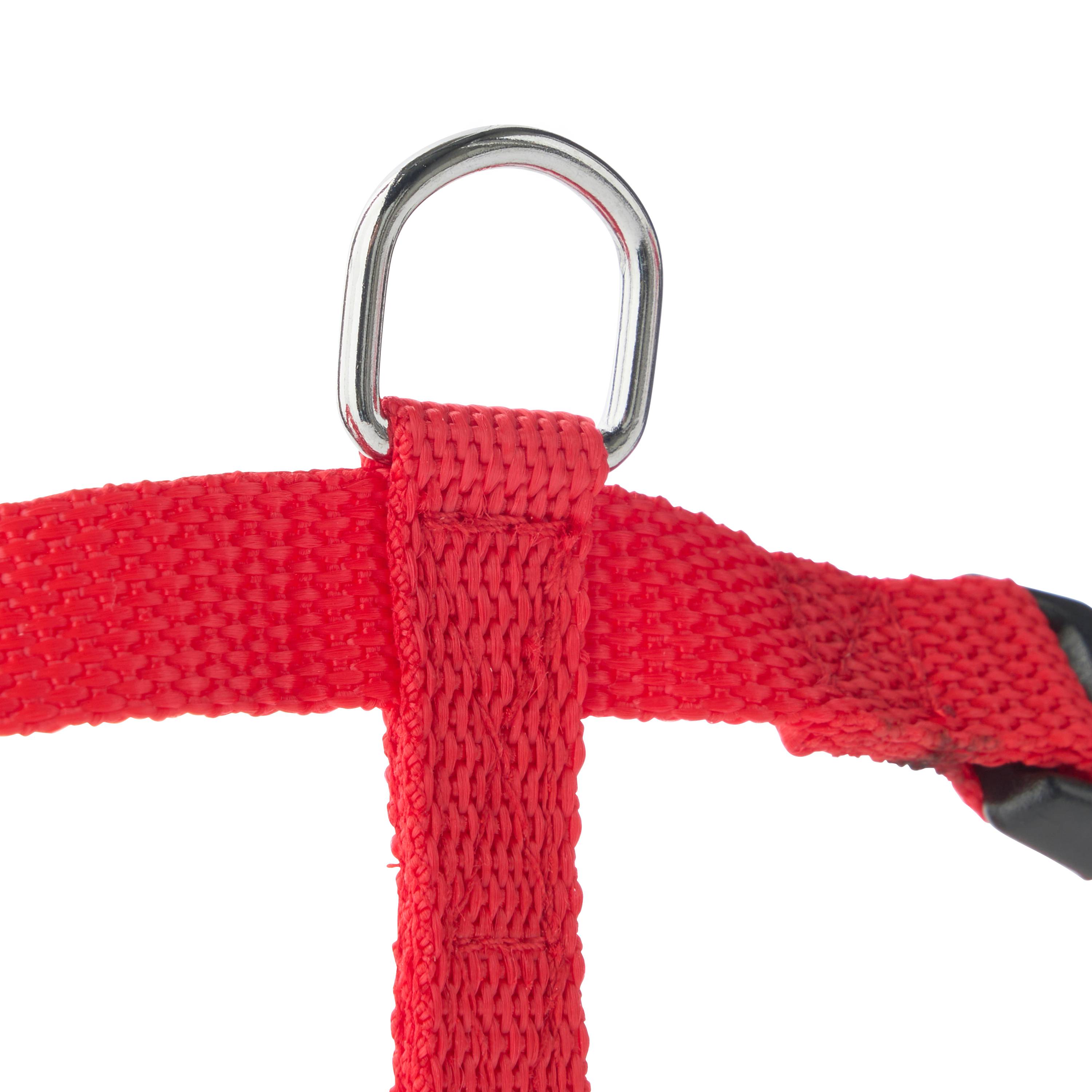 Marque Economique - Harnais en nylon rouge pour chien – Taille M 15 mm - Image 3