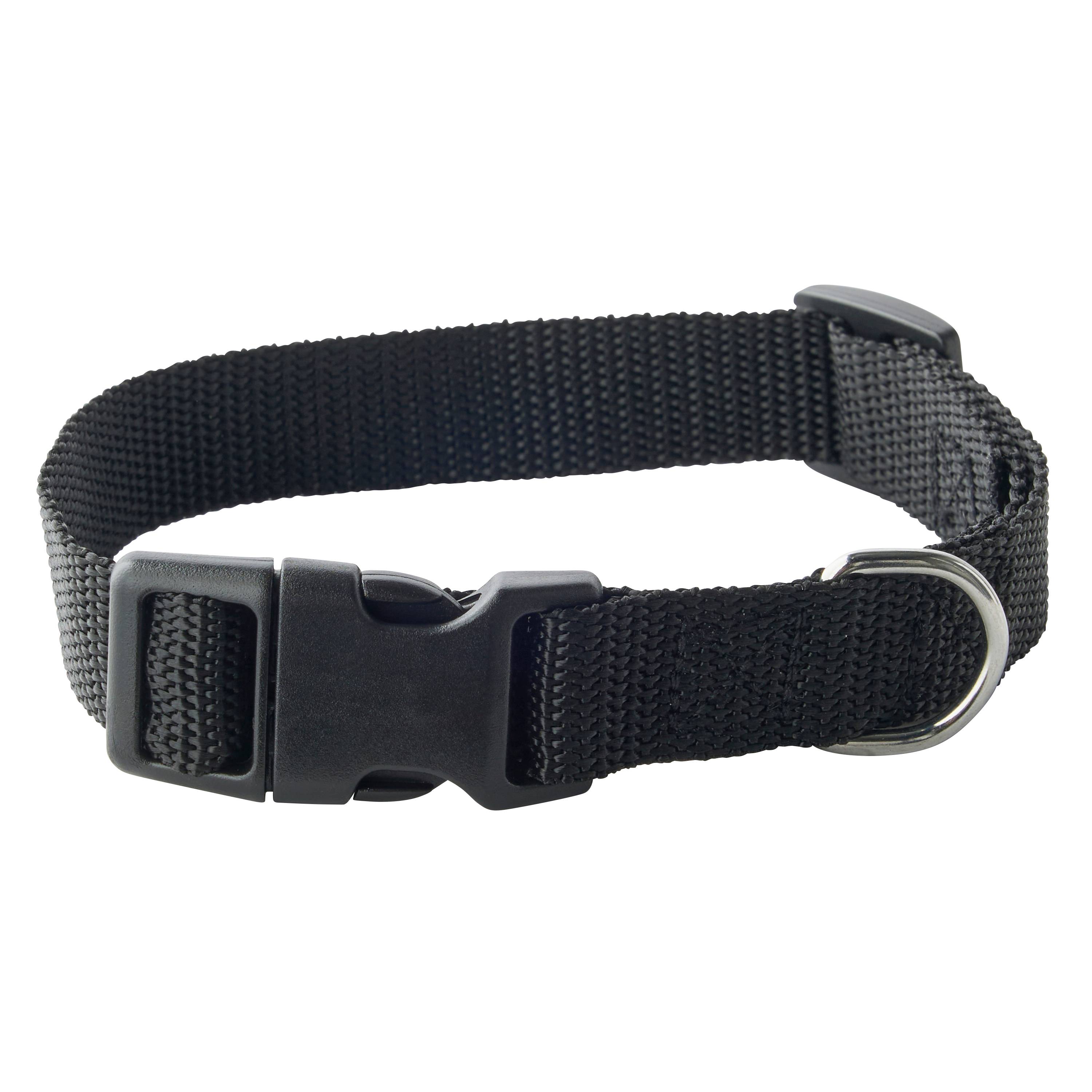 No name - zolux - Collier en nylon noir pour chien – Taille L 20 mm - Image 1