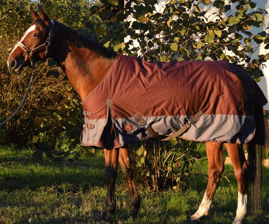 Lacme - Couverture d'hiver 125 cm - En Sac Zippé - LACMÉ - Image 1