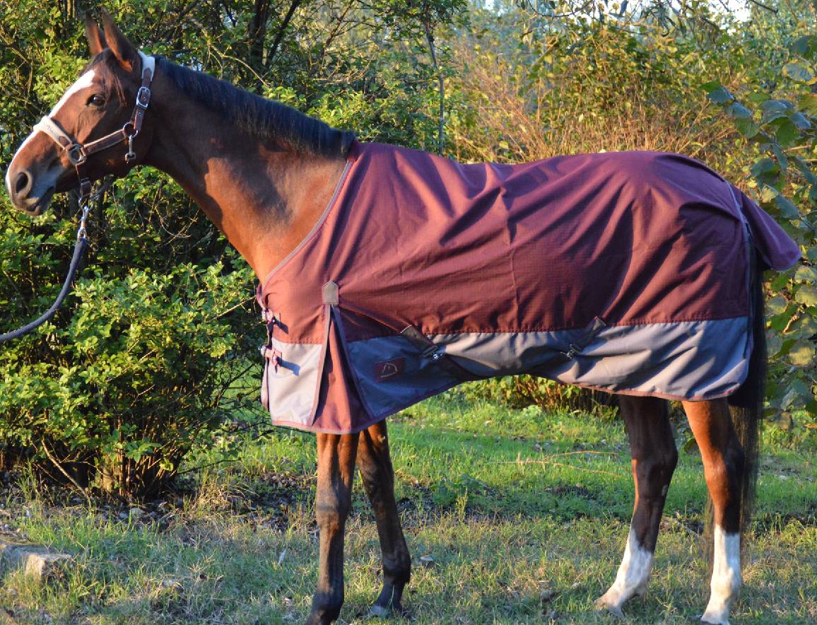 Lacme - Chemise imperméable 155 cm - Bordeaux - En Sac Zippé - LACMÉ