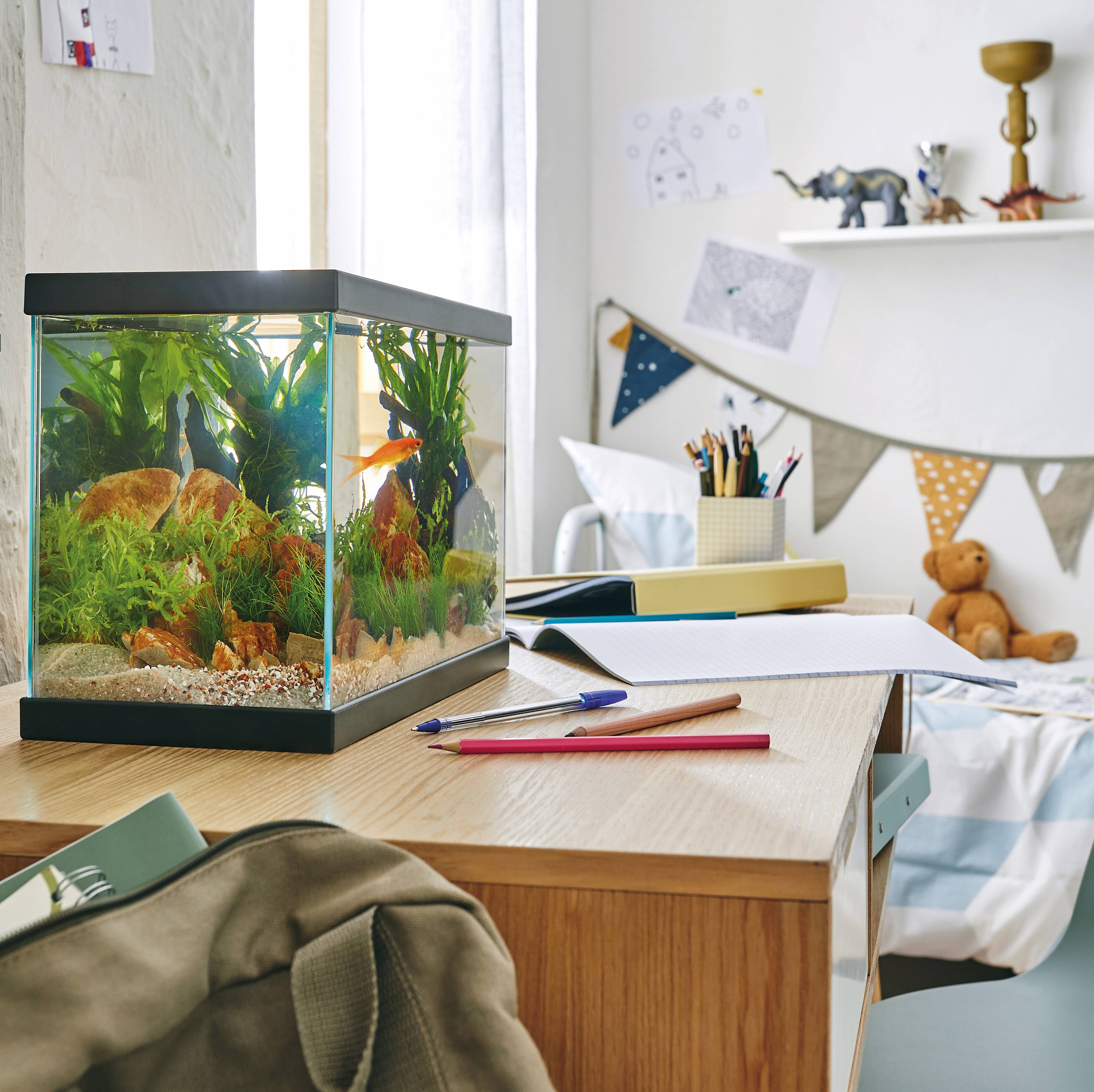 Pure Family - Aquarium pour poisson Start 35 13 L - Pure Family