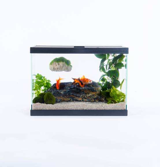 Pure Family - Aquarium pour poisson Start 35 13 L - Pure Family - Image 3