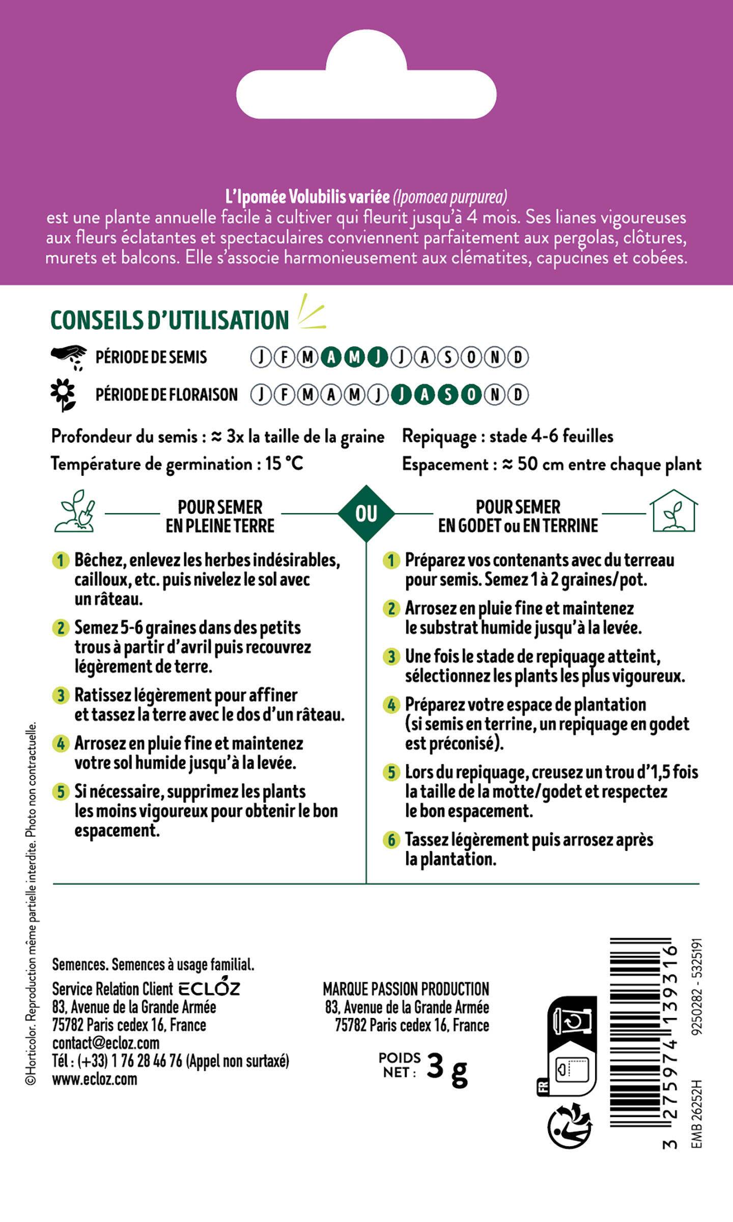 Ecloz - Ipomée volubilis variée graines sachet 3 g - ECLOZ - Image 2