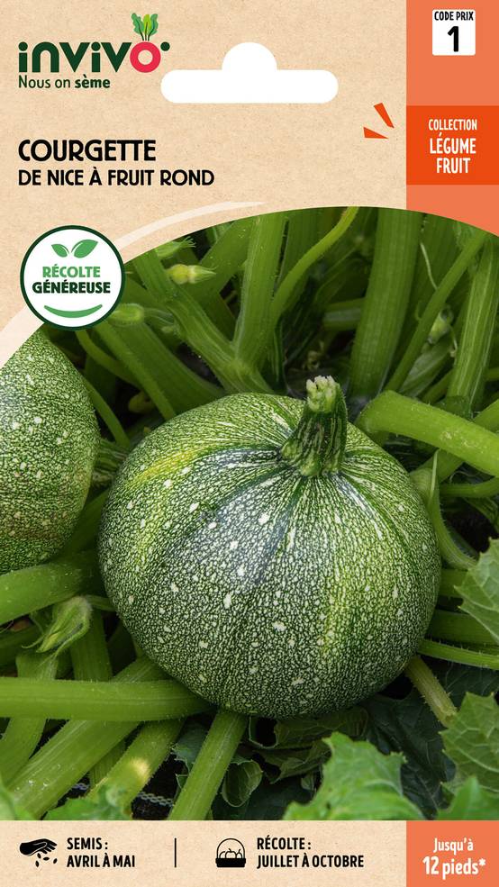 Invivo Nous On Sème - Courgette de Nice à Fruit Rond sachet de 4g - Série 1 - INVIVO Nous on sème - Image 1