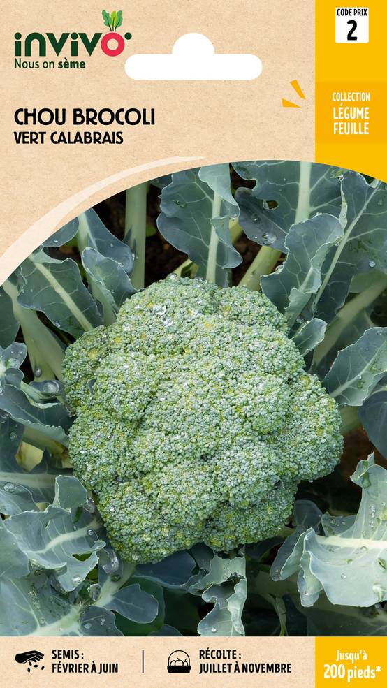 Invivo Nous On Sème - Chou Brocoli Vert Calabrais sachet de 1,5g - Série 2 - INVIVO Nous on sème - Image 1