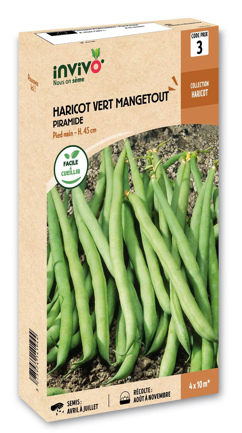 Invivo Nous On Sème - Haricot Nain Vert Mangetout Piramide boîte de 200g - Série 3 - INVIVO Nous on sème - Image 1