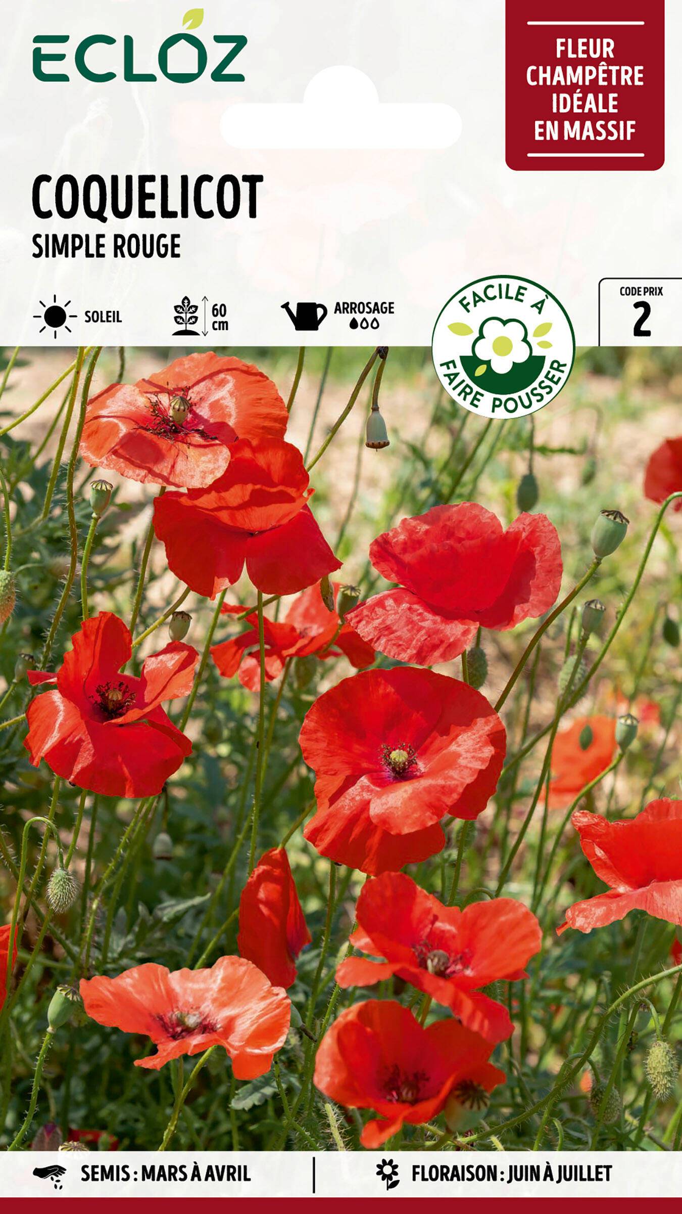 Ecloz - Coquelicot simple rouge graines sachet 1 g - ECLOZ - Image 1