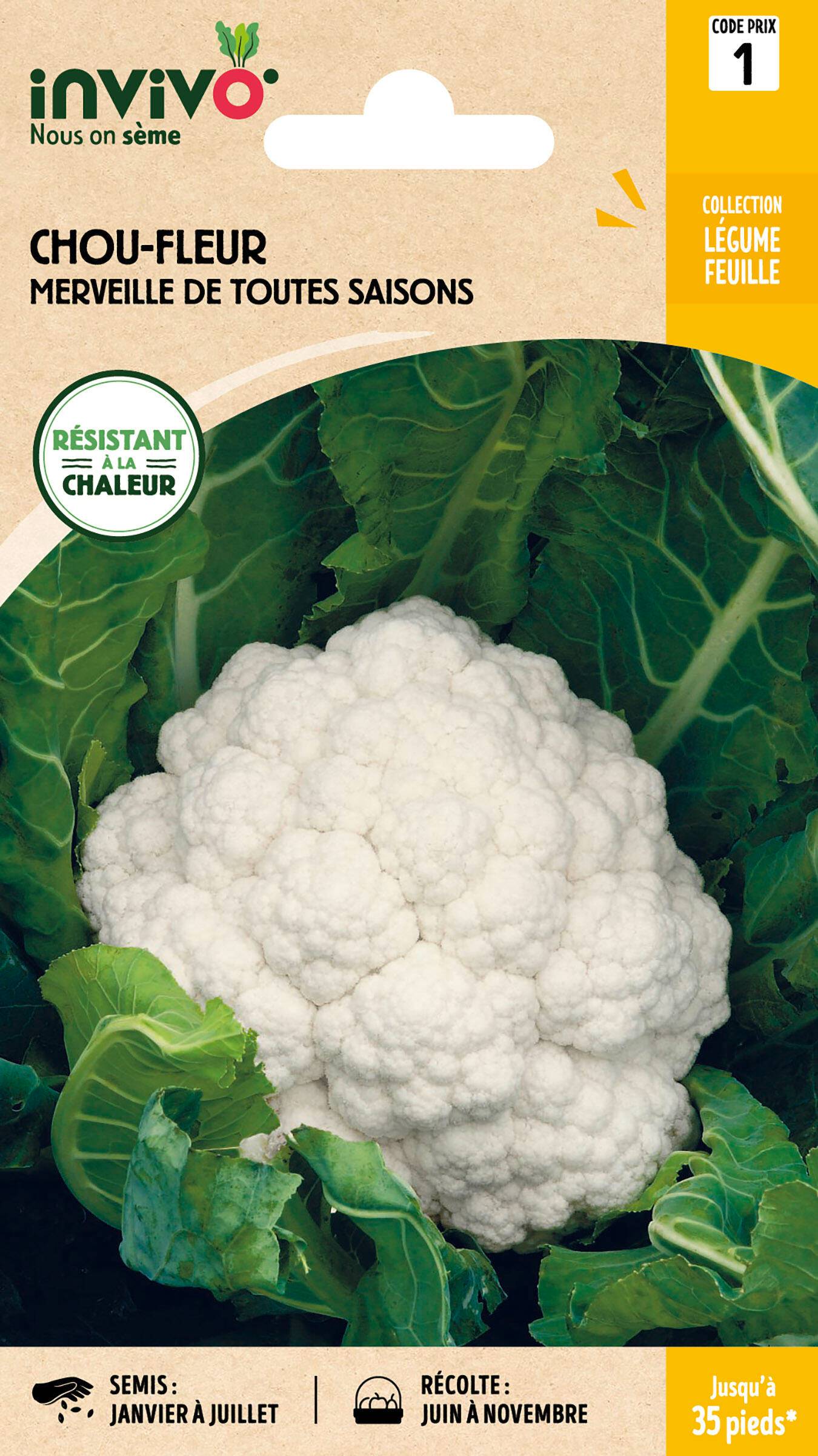 Invivo Nous On Sème - Chou-Fleur Merveille de Toutes Saisons sachet de 0,8g - Série 1 - INVIVO Nous on sème - Image 1