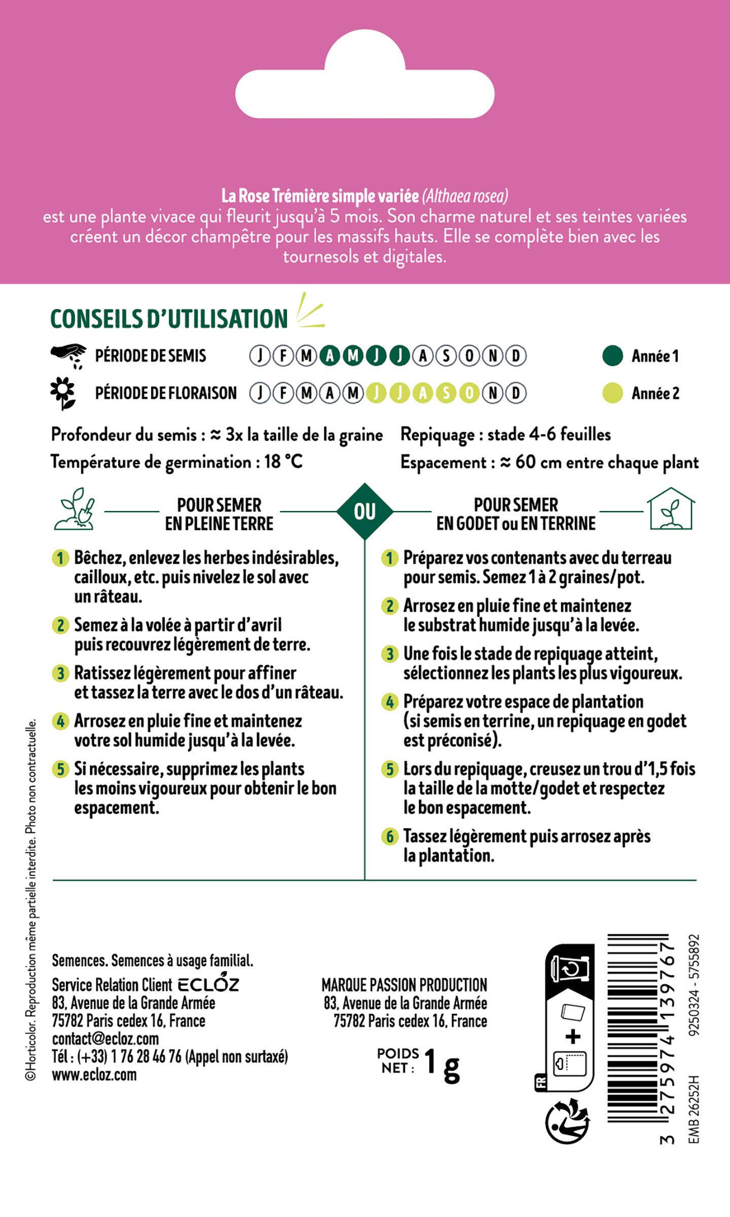 Ecloz - Rose Trémière simple variée graines sachet 1 g - ECLOZ - Image 2