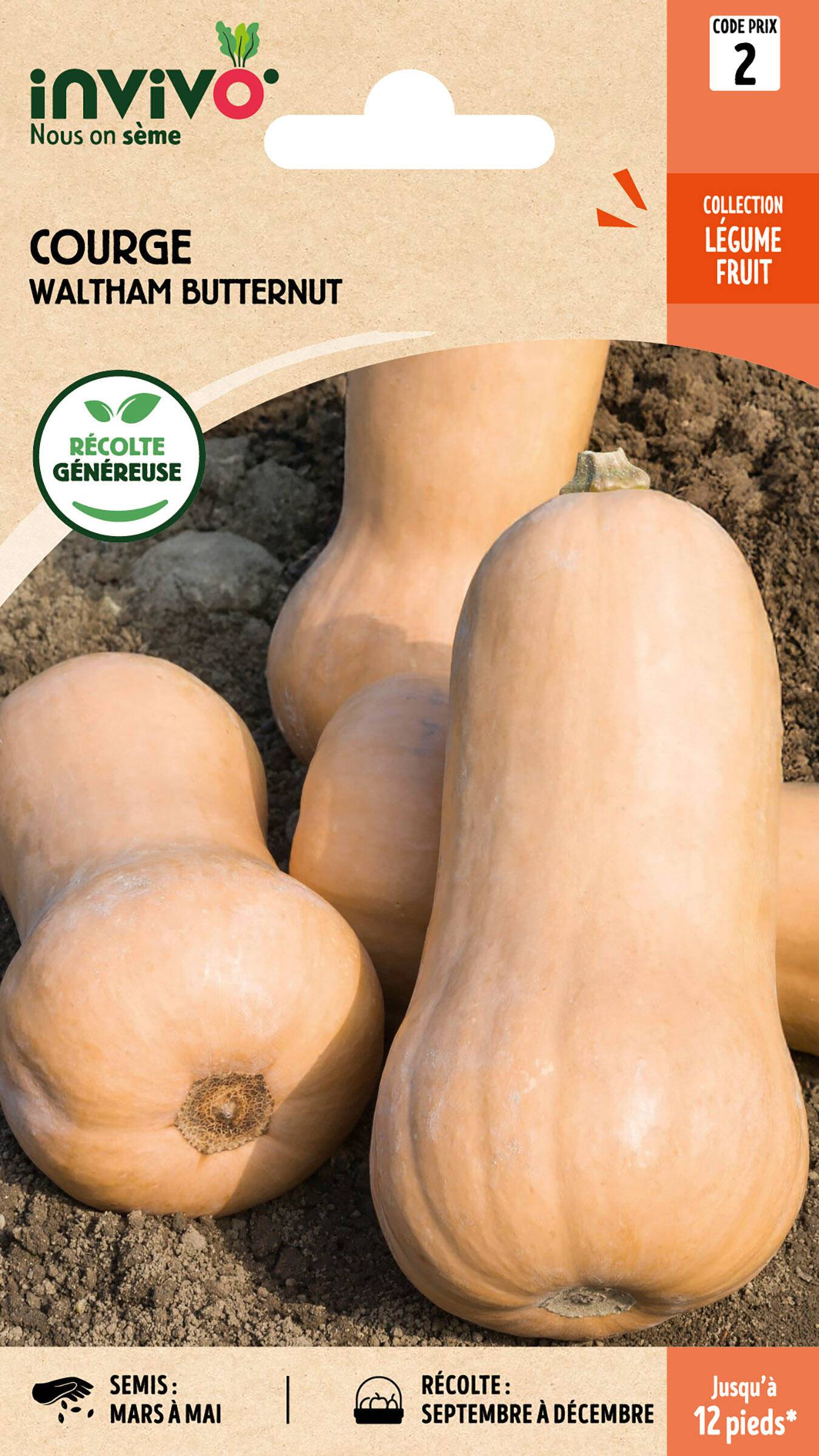 Invivo Nous On Sème - Courge Waltham Butternut sachet de 3g - Série 2 - INVIVO Nous on sème - Image 1