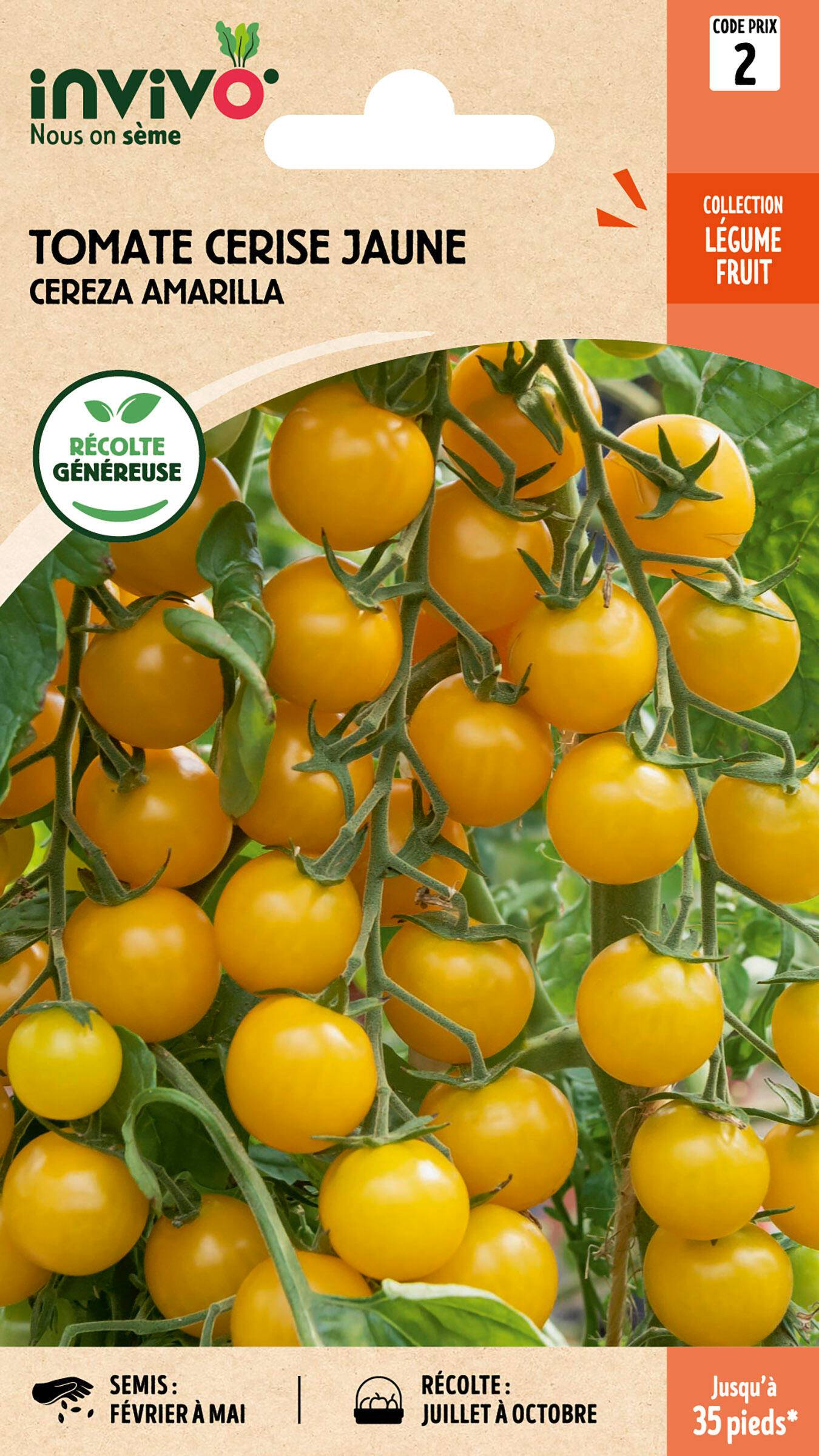 Invivo Nous On Sème - Tomate Cerise Cereza Amarilla sachet de 0,8g - Série 2 - INVIVO Nous on sème - Image 1
