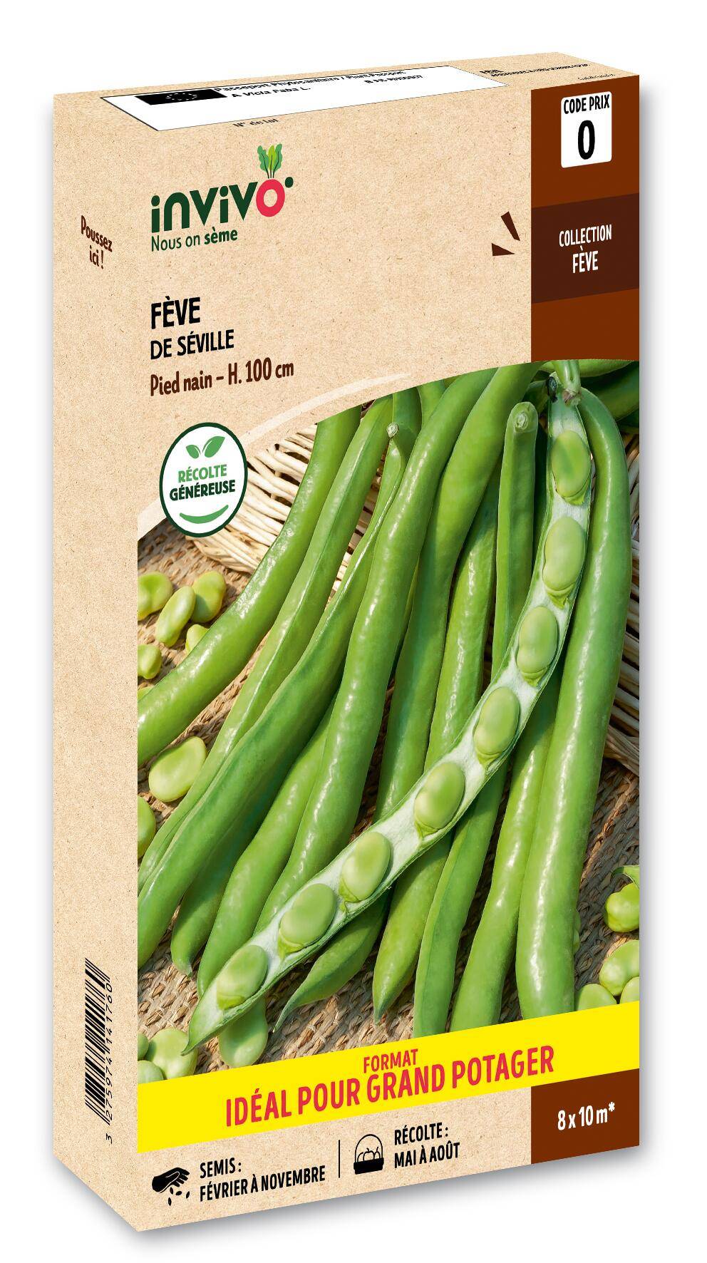 Invivo Nous On Sème - Fève de Séville en boîte de 500g - Série 0 - INVIVO Nous on sème