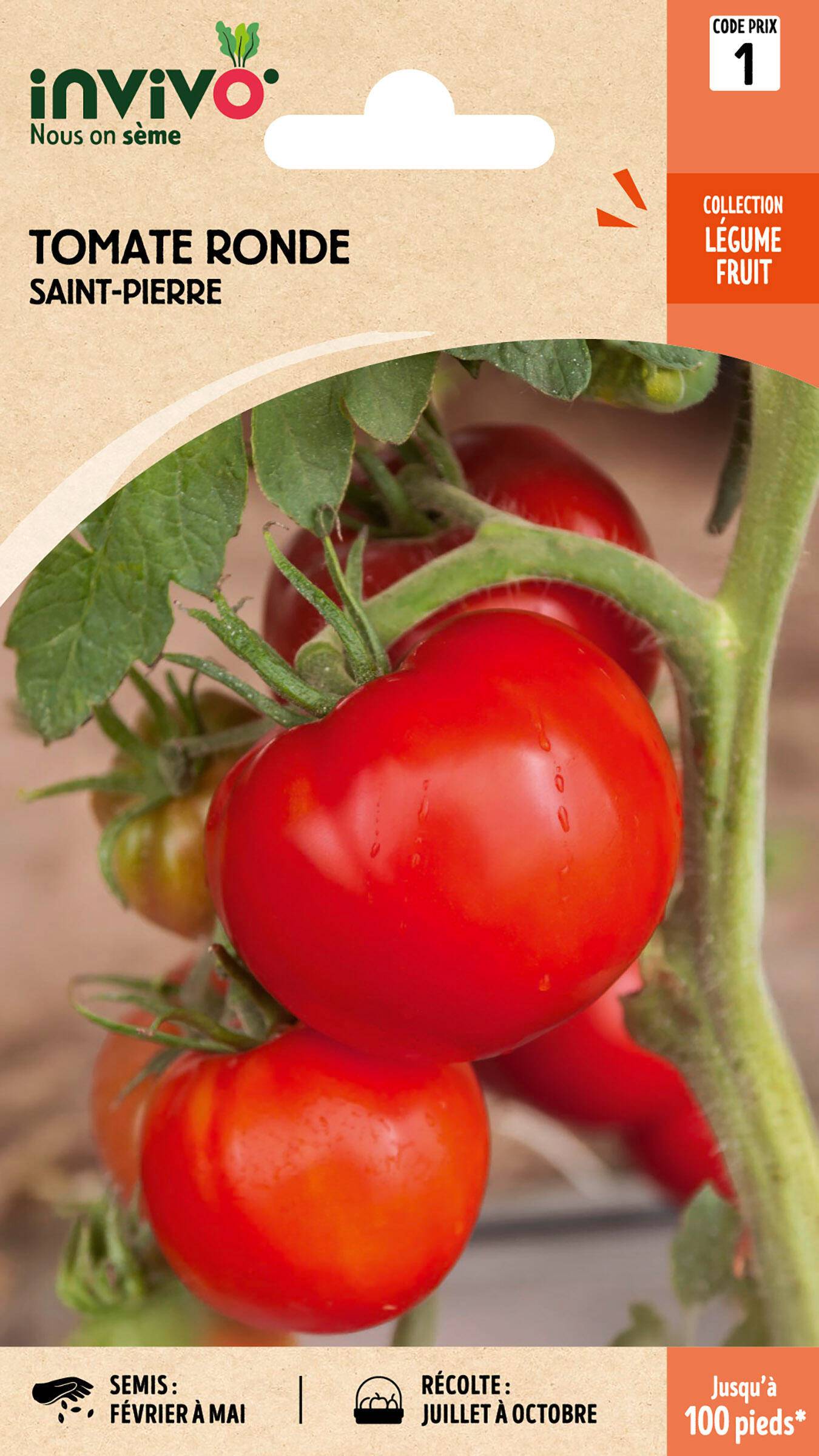 Invivo Nous On Sème - Tomate Ronde Saint Pierre sachet de 0,8g - Série 1 - INVIVO Nous on sème - Image 1