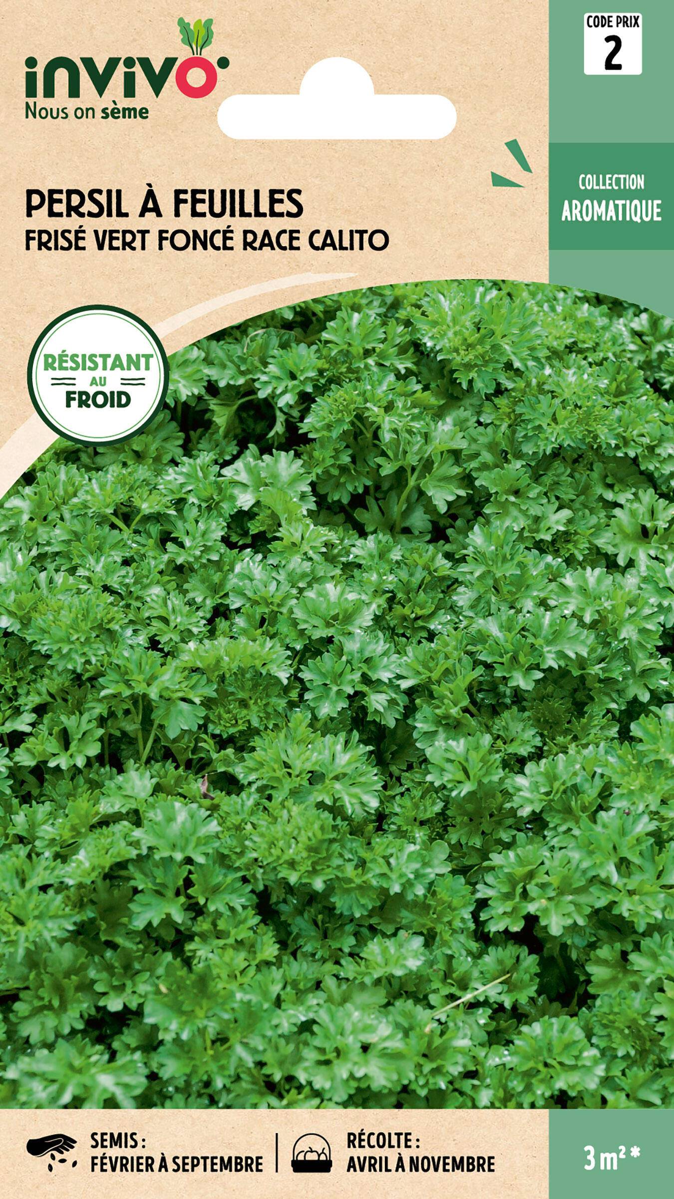Invivo Nous On Sème - Persil à feuilles frisé vert foncé race Calito graines sachet  5 g - INVIVO Nous on sème