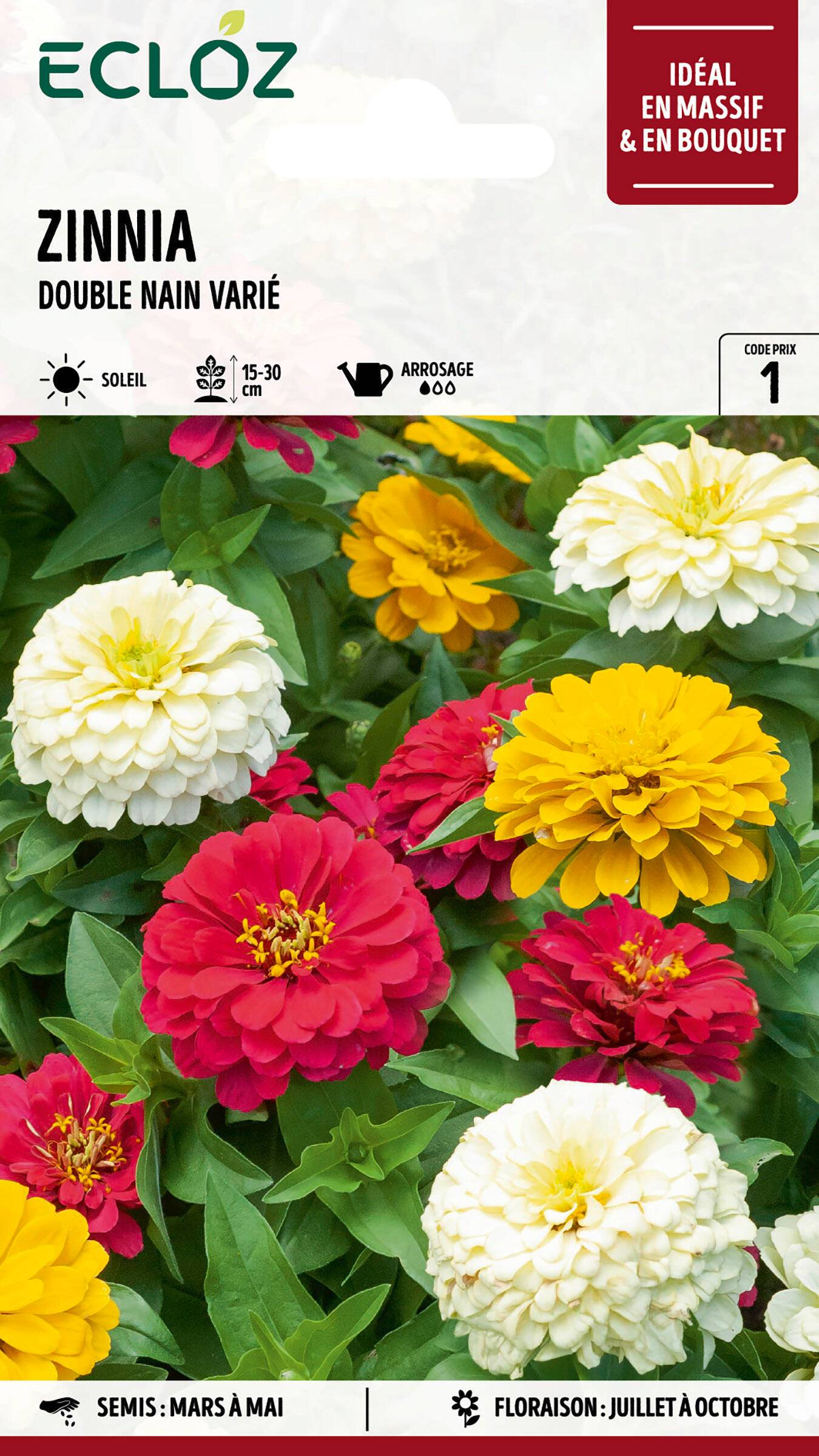 Ecloz - Zinnia Double nain varié graines sachet 2 g - ECLOZ - Image 1