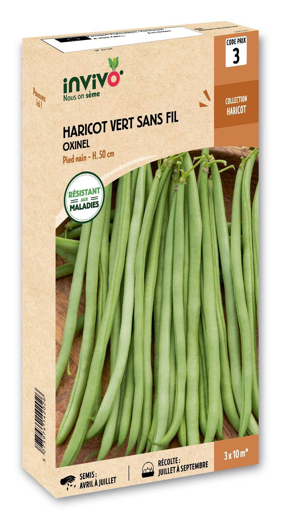 Invivo Nous On Sème - Haricot Nain Vert à Filet Sans Fil Oxinel boîte de 200g - Série 3 - INVIVO Nous on sème - Image 1