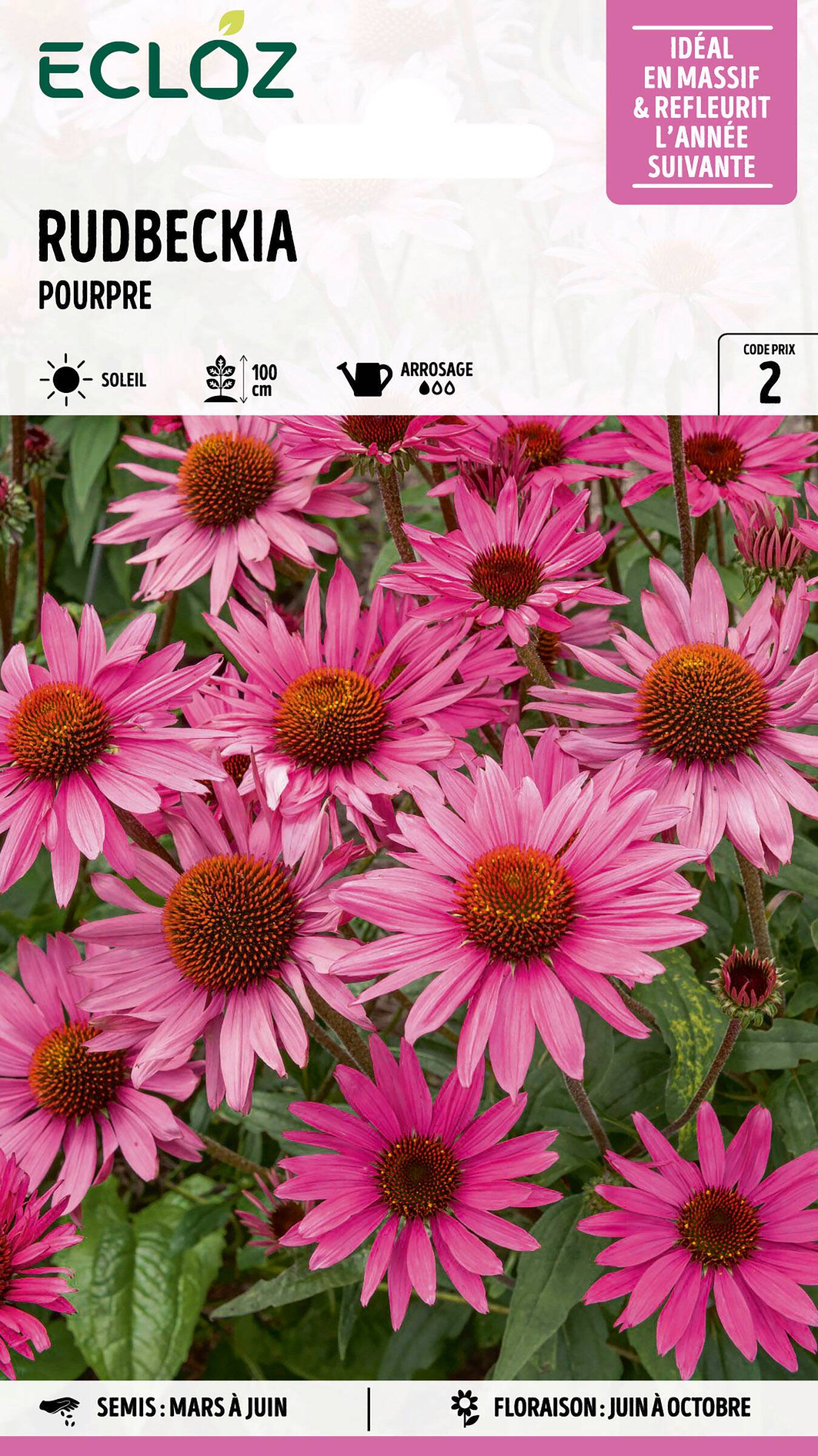 Ecloz - Rudbeckia Pourpre graines sachet 0,5 g - ECLOZ