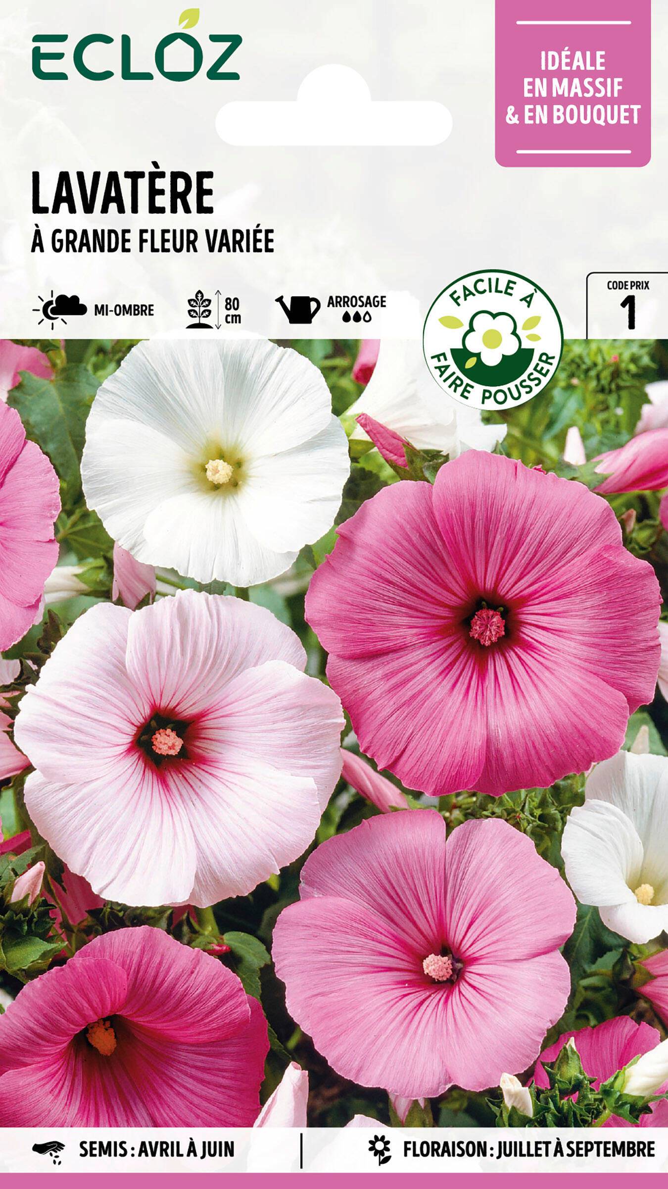 Ecloz - Lavatère à grande fleur variée graines sachet 3 g - ECLOZ