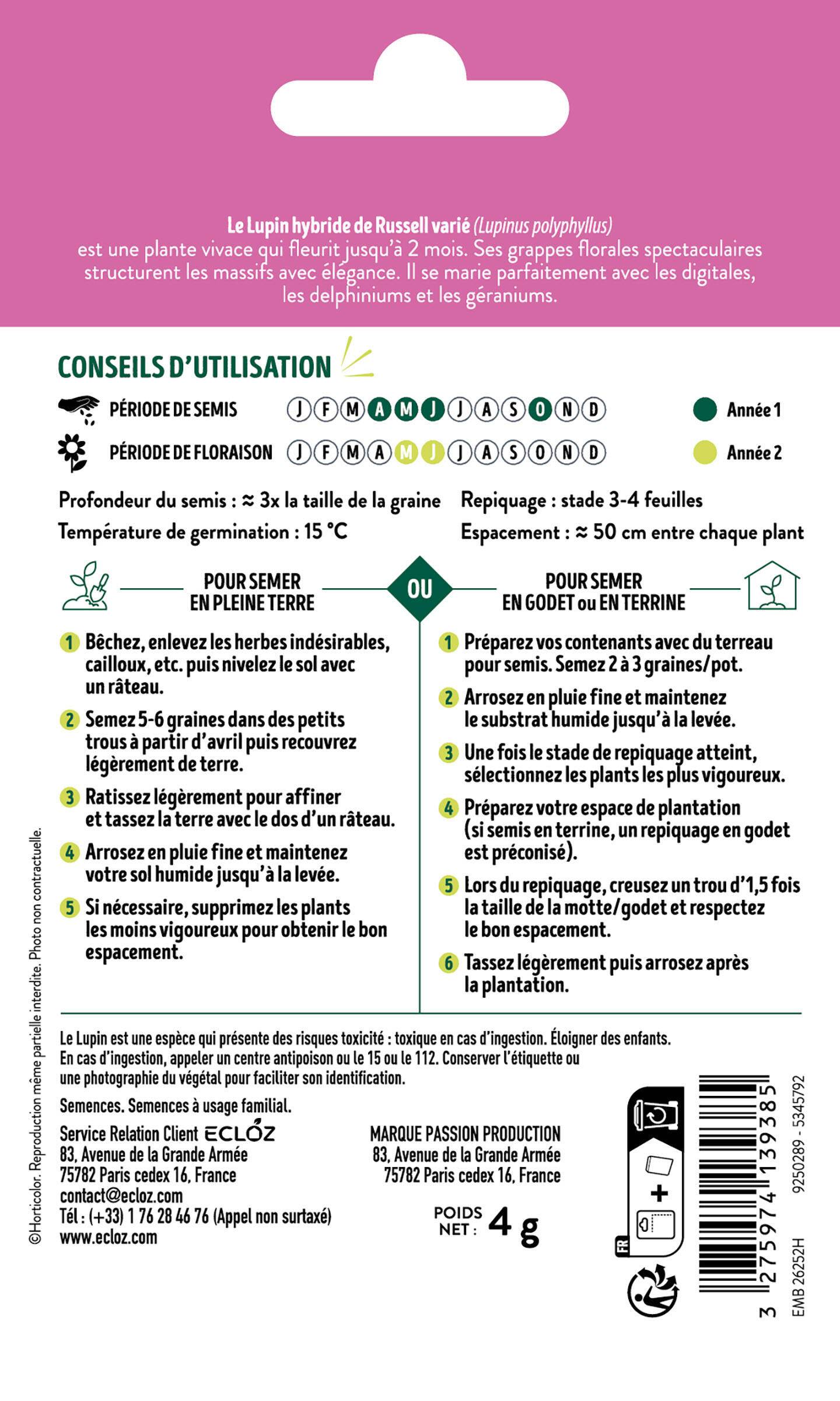 Ecloz - Lupin hybride de Russel vivace varié graines sachet 4 g - ECLOZ - Image 2