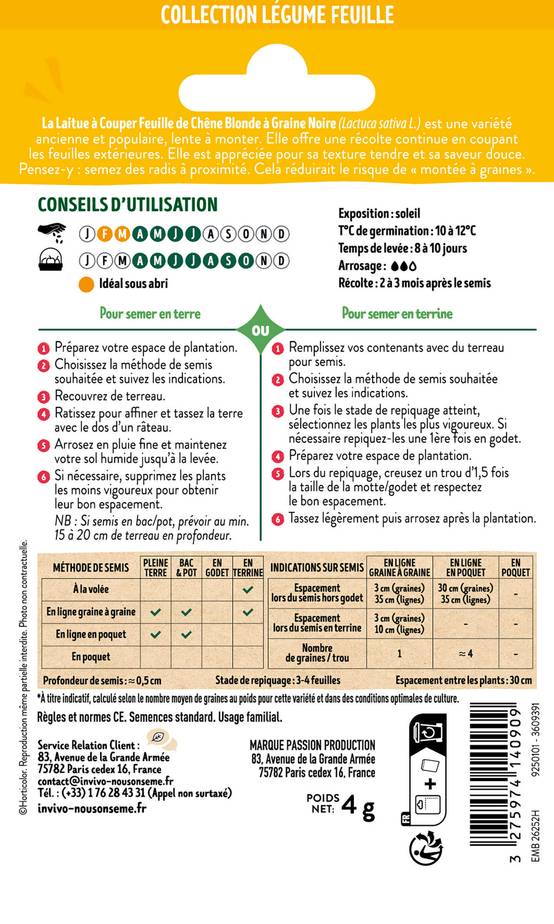 Invivo Nous On Sème - Laitue à Couper Feuille de Chêne Blonde à Graine Noire sachet de 4g - Série 1 - INVIVO Nous on sème - Image 2