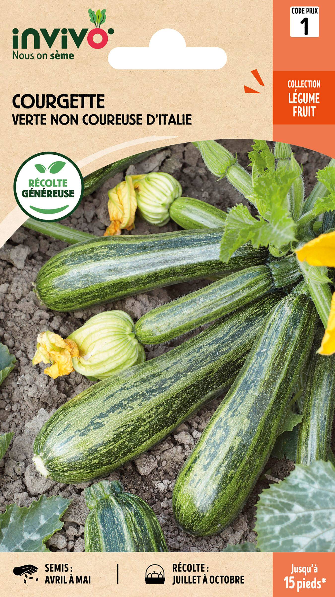 Invivo Nous On Sème - Courgette Verte Non Coureuse d'Italie sachet de 4g - Série 1 - INVIVO Nous on sème - Image 1