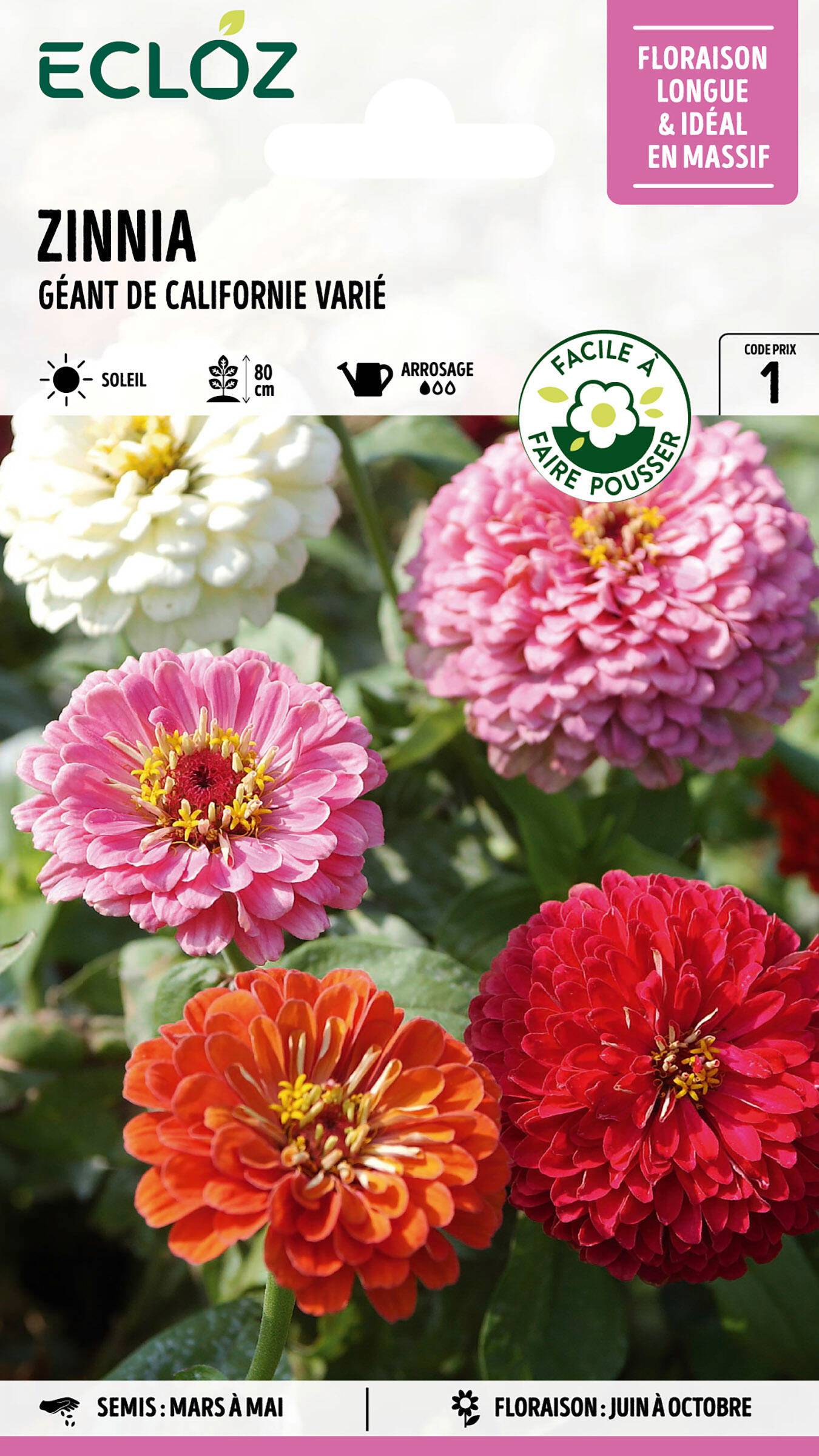 Ecloz - Zinnia géant de Californie varié graines sachet 3 g - ECLOZ - Image 1