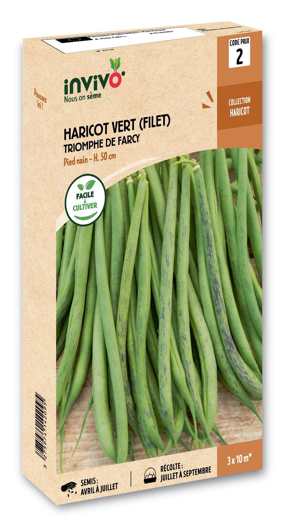Invivo Nous On Sème - Haricot Nain Vert à Filet Triomphe de Farcy boîte de 200g - Série 2 - INVIVO Nous on sème - Image 1