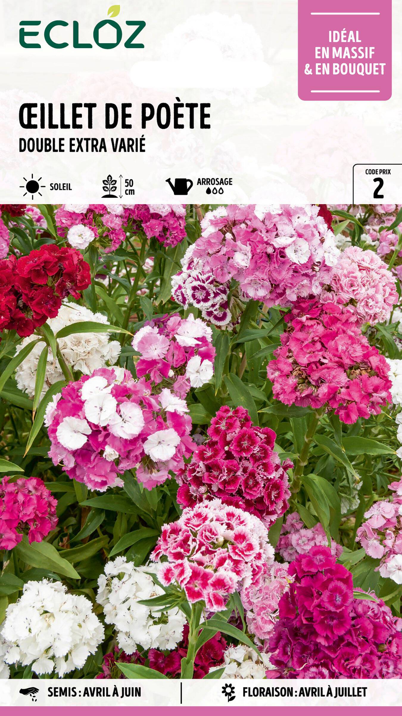 Ecloz - Œillet de Poète double varié Extra graines sachet 2,2 g - ECLOZ - Image 1