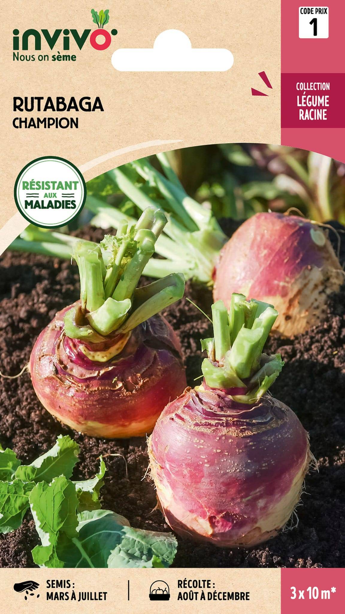 Invivo Nous On Sème - Chou-Navet Rutabaga Champion Jaune à Collet Rouge sachet de 10g - Série 1 - INVIVO Nous on sème - Image 1