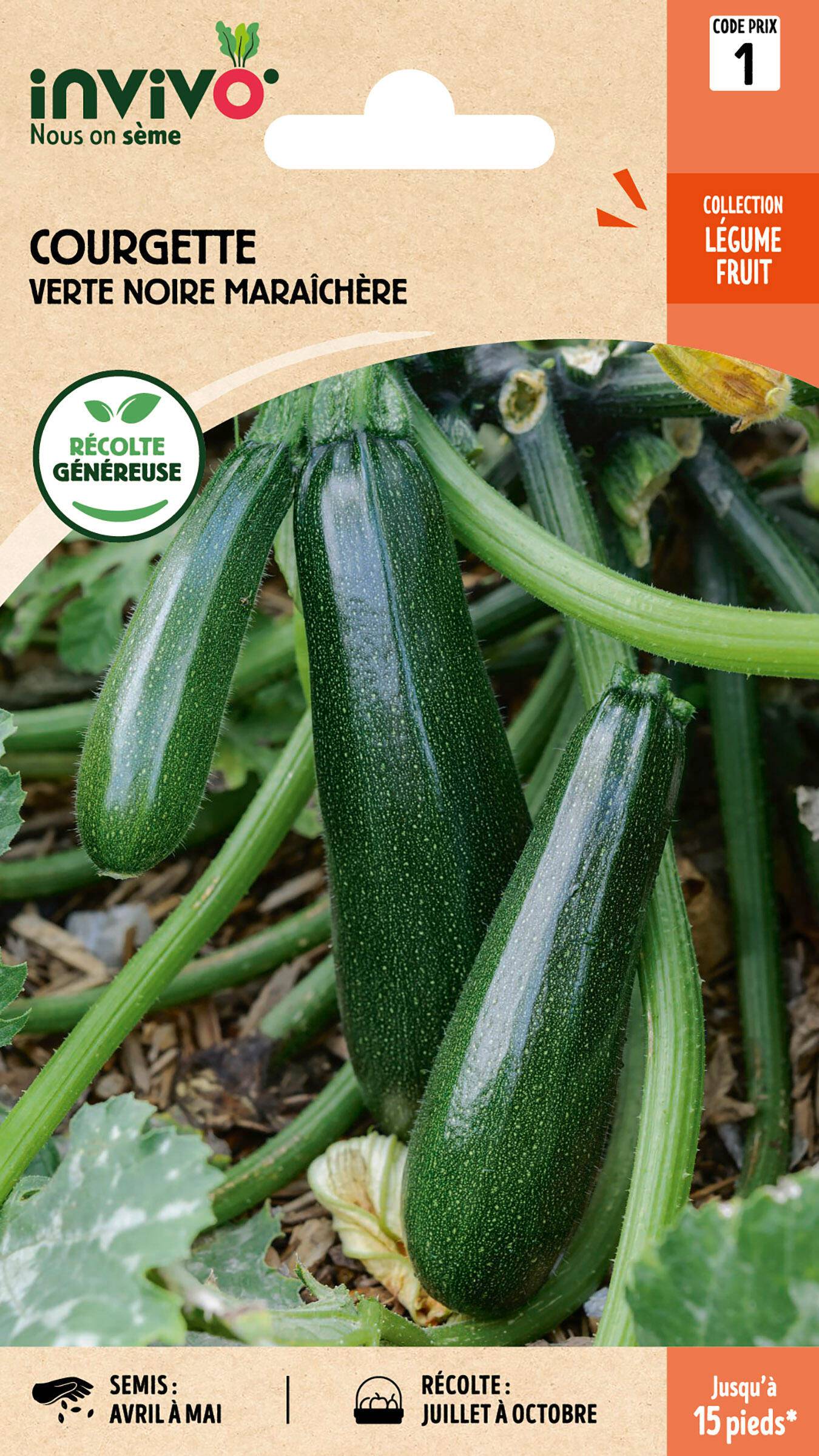 Invivo Nous On Sème - Courgette Verte Noire Maraîchère sachet de 4g - Série 1 - INVIVO Nous on sème - Image 1