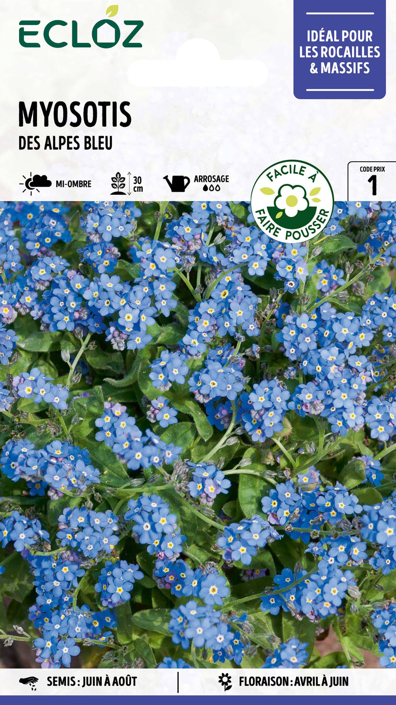 Ecloz - Myosotis des Alpes bleu graines sachet 0,8 g - ECLOZ - Image 1