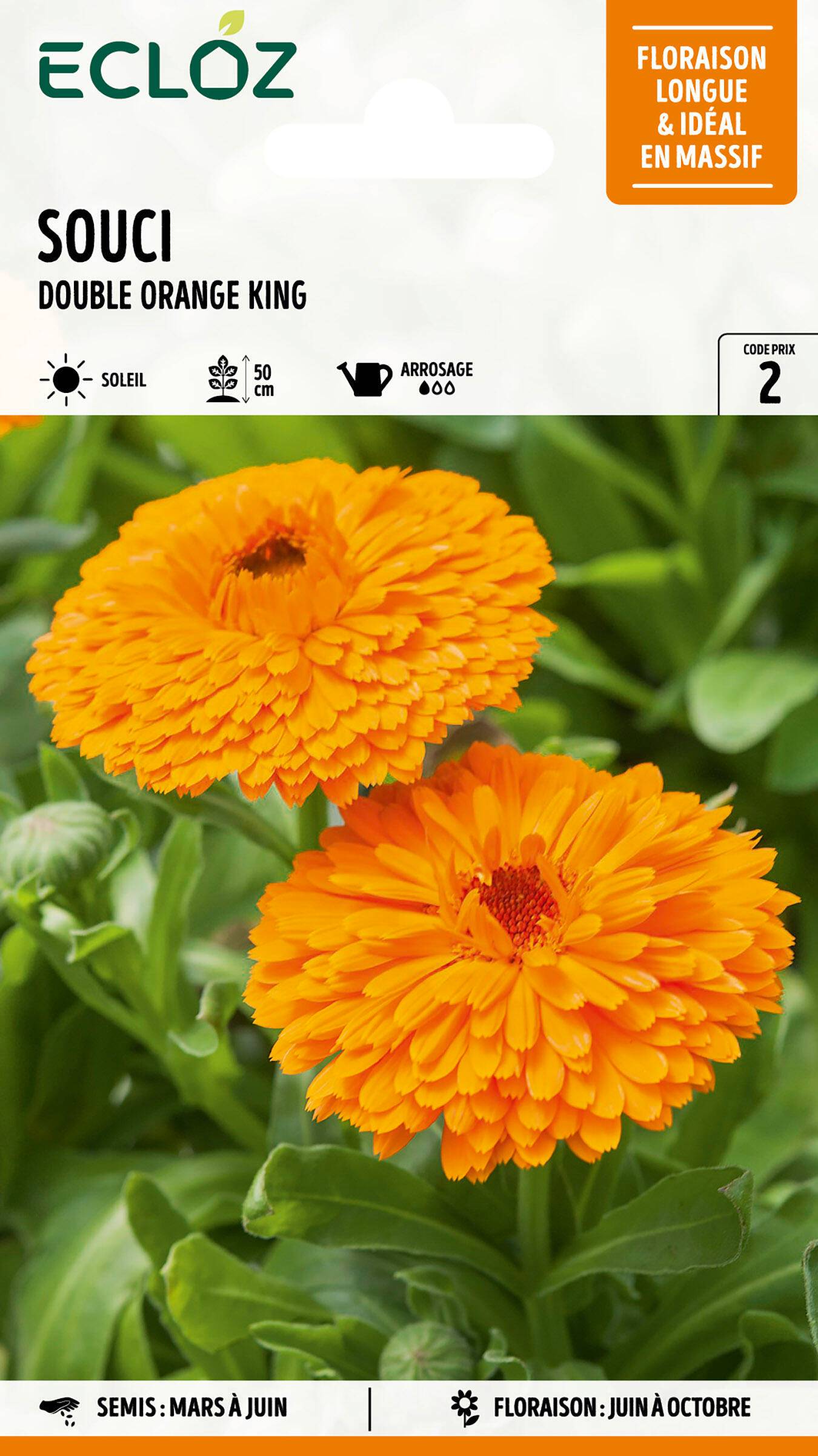 Ecloz - Souci double Orange King graines sachet 3 g - ECLOZ - Image 1
