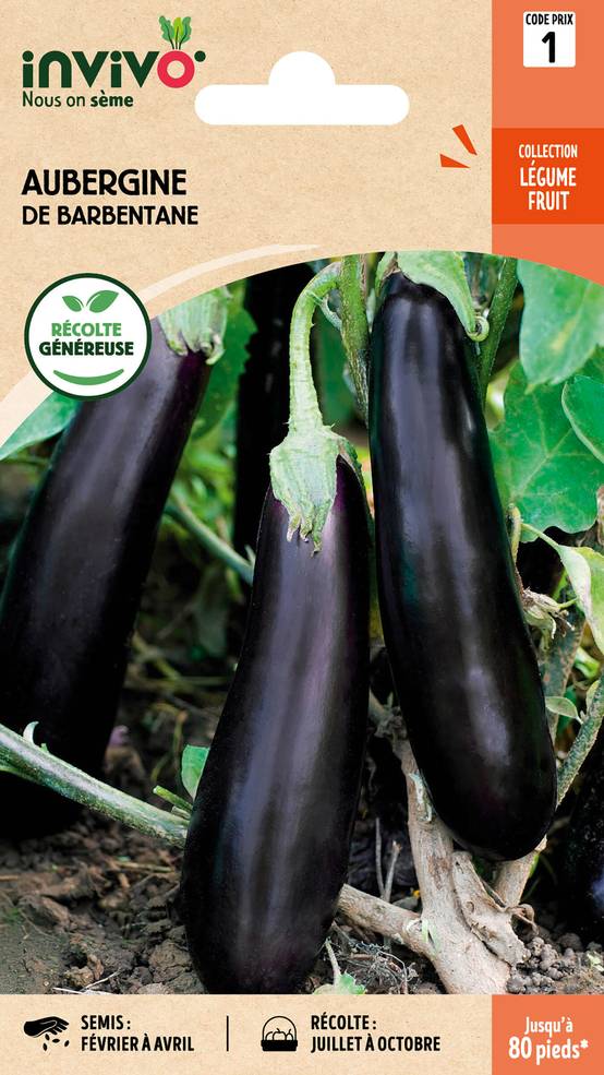 Invivo Nous On Sème - Aubergine de Barbentane sachet de 1,5g - Série 1 - INVIVO Nous on sème - Image 1