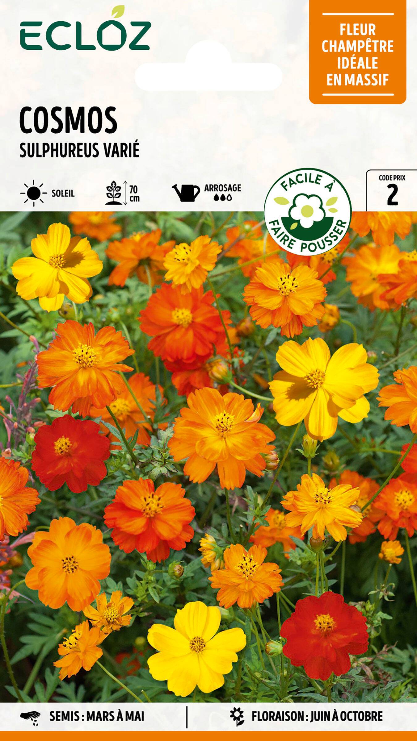 Ecloz - Cosmos sulphureus varié graines sachet 1 g - ECLOZ - Image 1