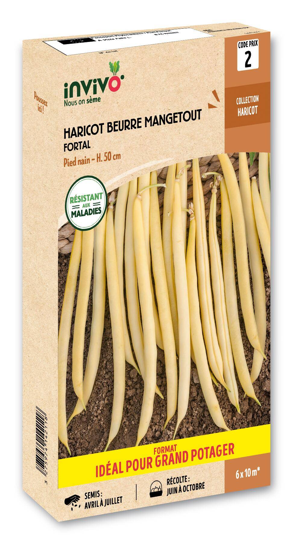 Invivo Nous On Sème - Haricot Nain Beurre Mangetout Fortal en boîte de 500g - Série 2 - INVIVO Nous on sème - Image 1