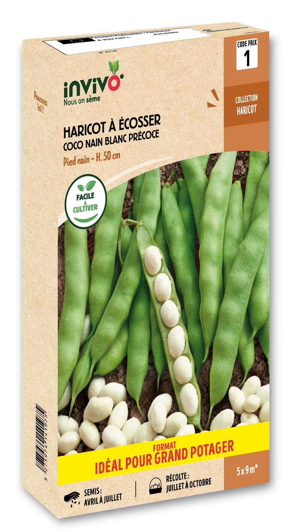 Invivo Nous On Sème - Haricot Nain à Ecosser Coco Blanc Précoce en boîte de 500g - Série 1 - INVIVO Nous on sème - Image 1