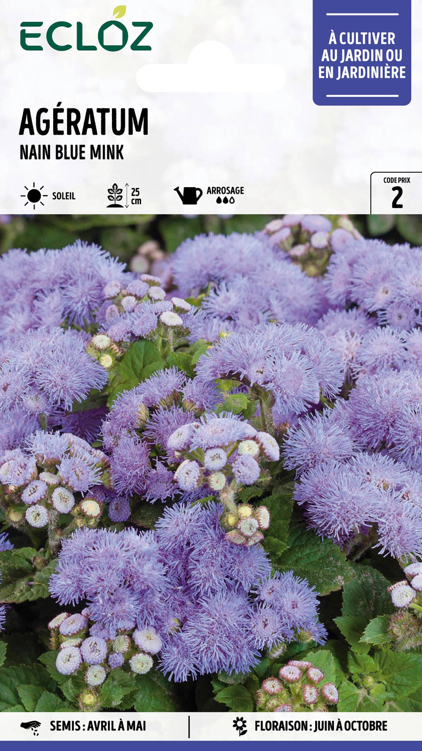 Ecloz - Ageratum nain Blue Mink graines sachet 0,5 g - ECLOZ - Image 1