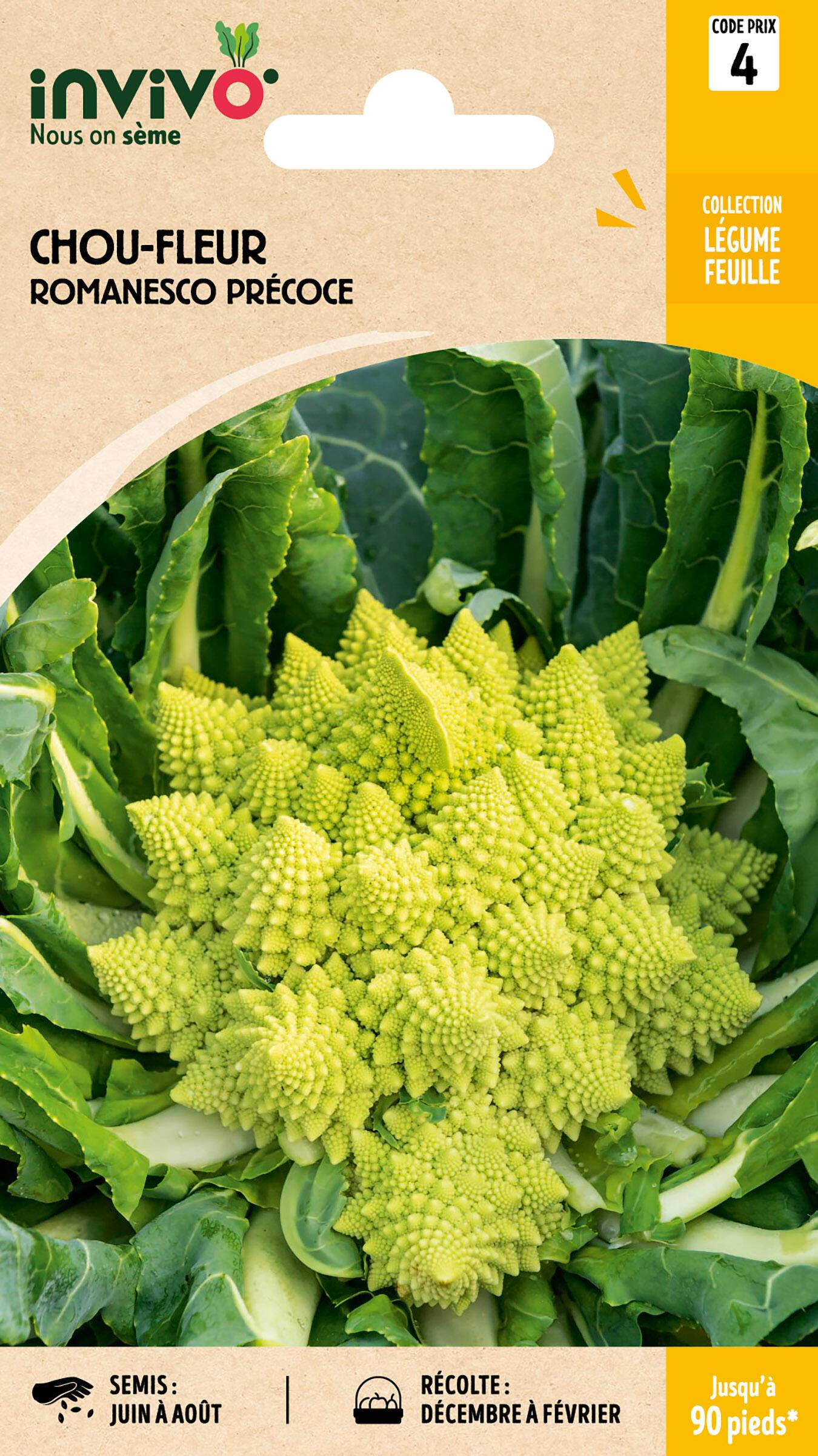 Invivo Nous On Sème - Chou-Fleur Romanesco Précoce sachet de 2g - Série 4 - INVIVO Nous on sème