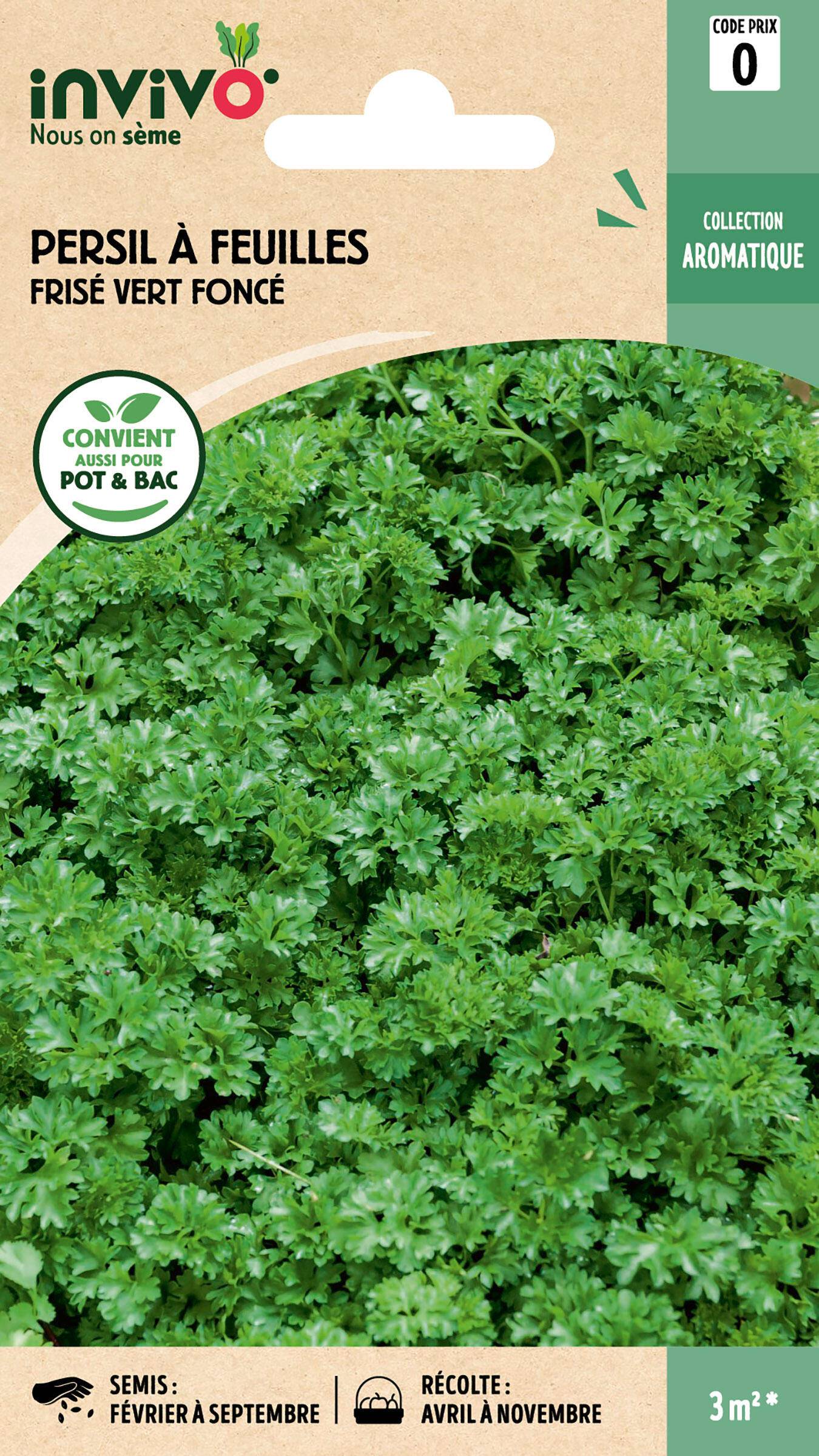 Invivo Nous On Sème - Persil à feuilles frisé vert foncé graines sachet  5 g - INVIVO Nous on sème - Image 1