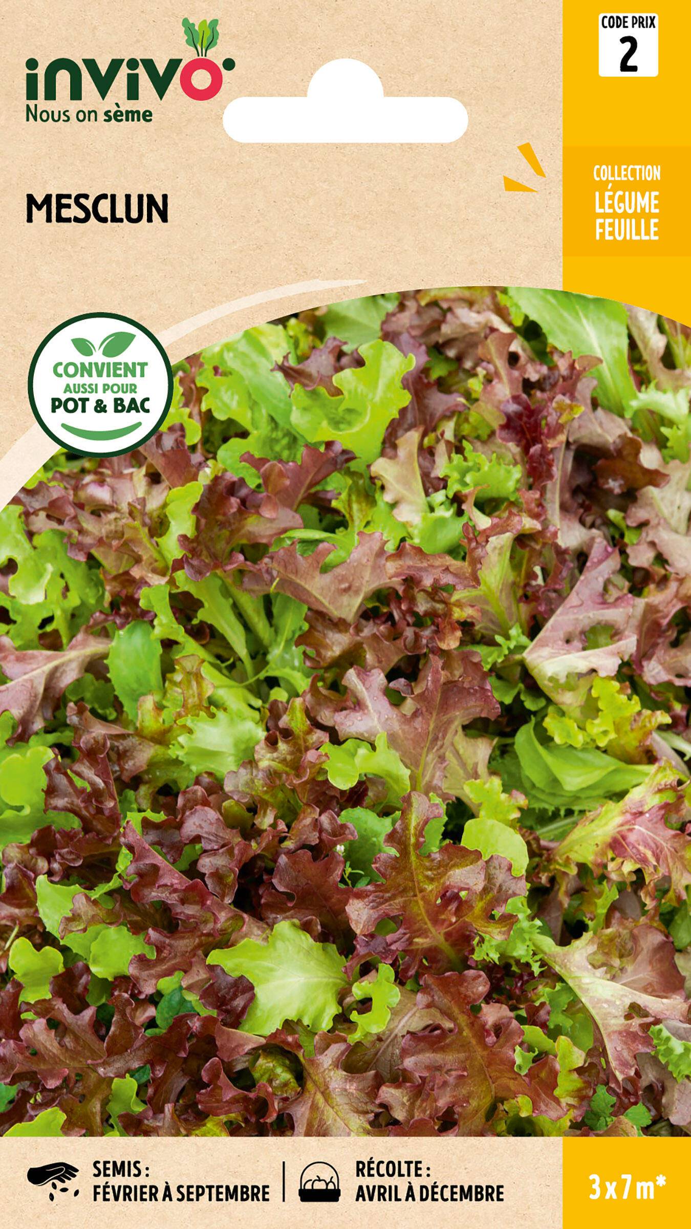 Invivo Nous On Sème - Mesclun sachet de 7g - Série 2 - INVIVO Nous on sème - Image 1