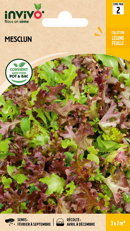Invivo Nous On Sème - Mesclun sachet de 7g - Série 2 - INVIVO Nous on sème - Image 1