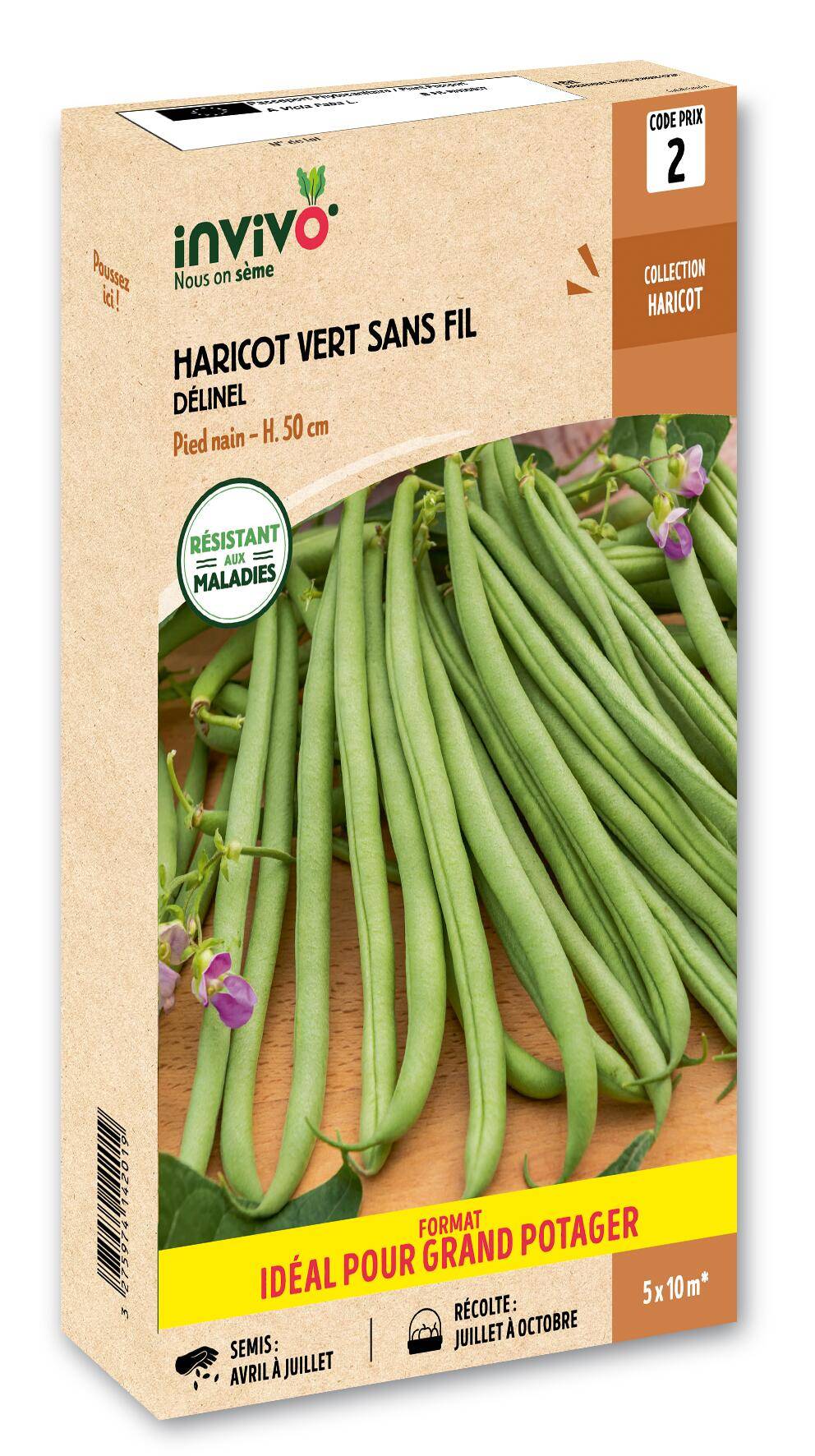 Invivo Nous On Sème - Haricot Nain Vert Delinel à Filet Sans Fil en boîte de 500g - Série 2 - INVIVO Nous on sème - Image 1