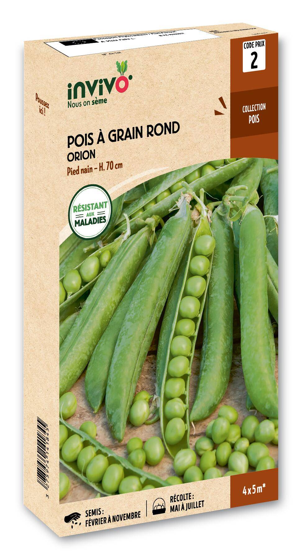 Invivo Nous On Sème - Pois Nain à Grain Rond Orion boîte de 200g - Série 2 - INVIVO Nous on sème